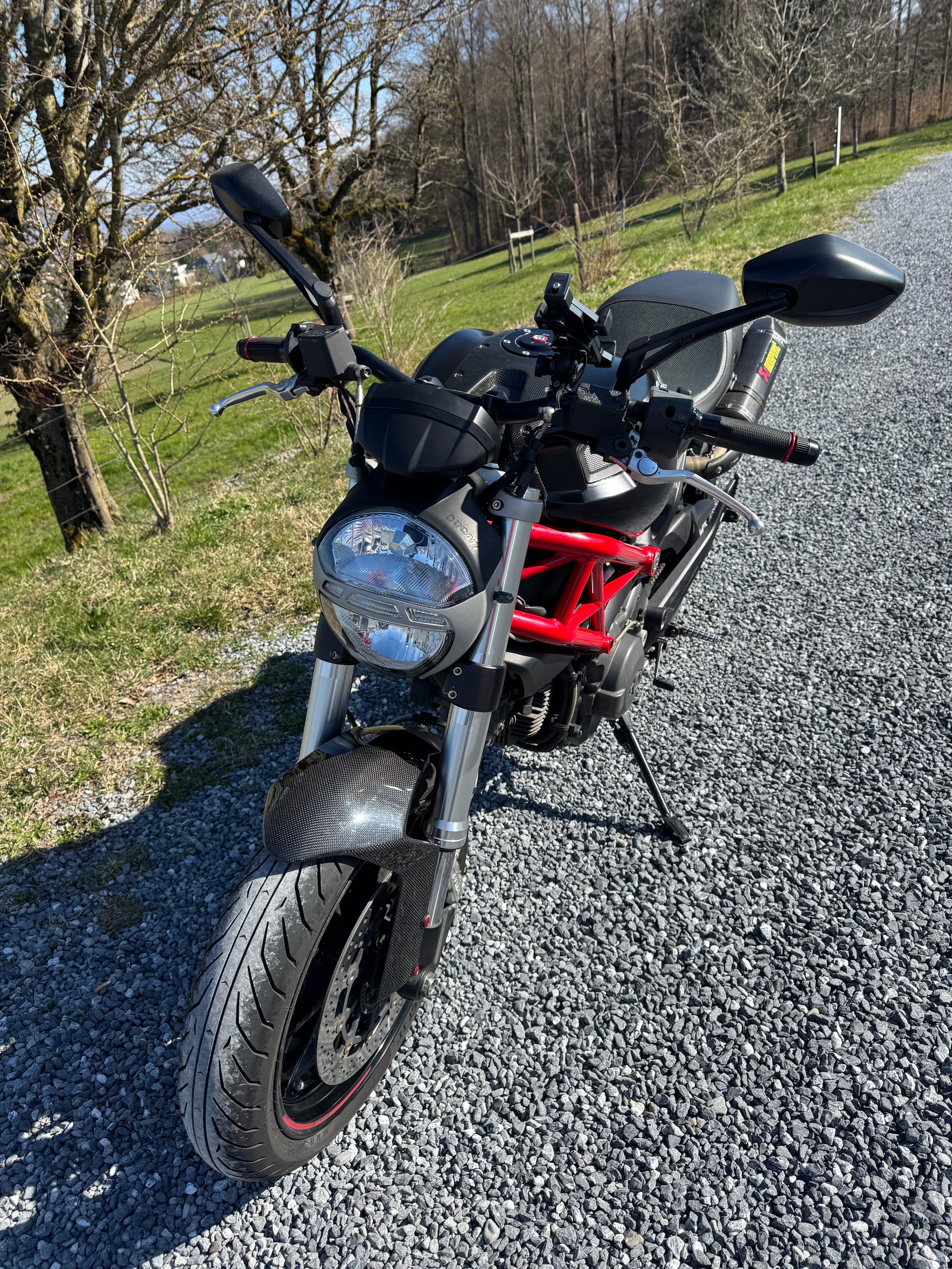 DUCATI Monster 796M ABS (25kW)-image-3