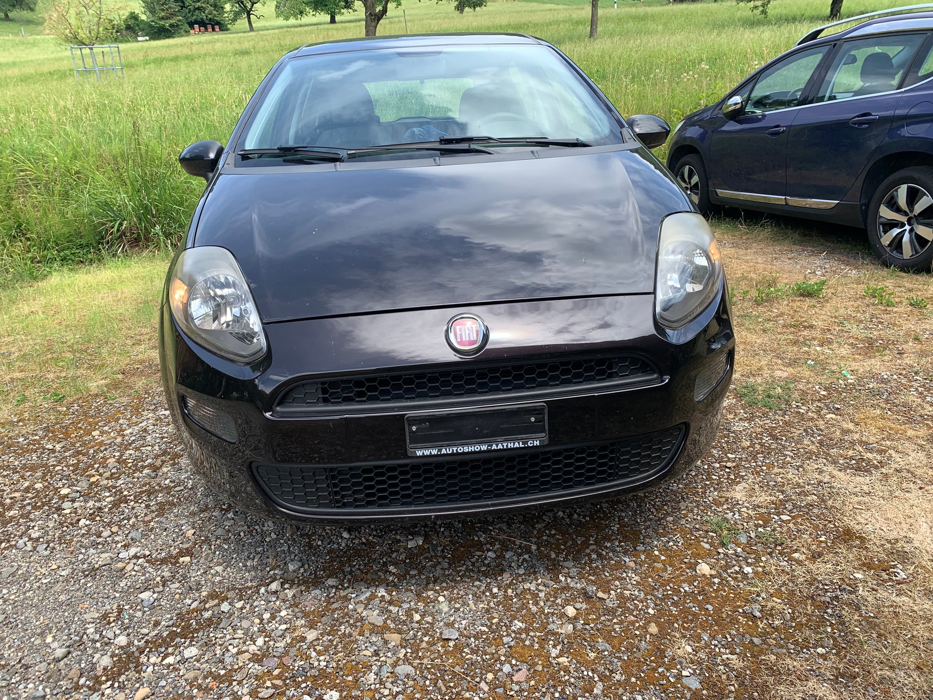 FIAT Punto 1.2 Pop-showroom-element-1