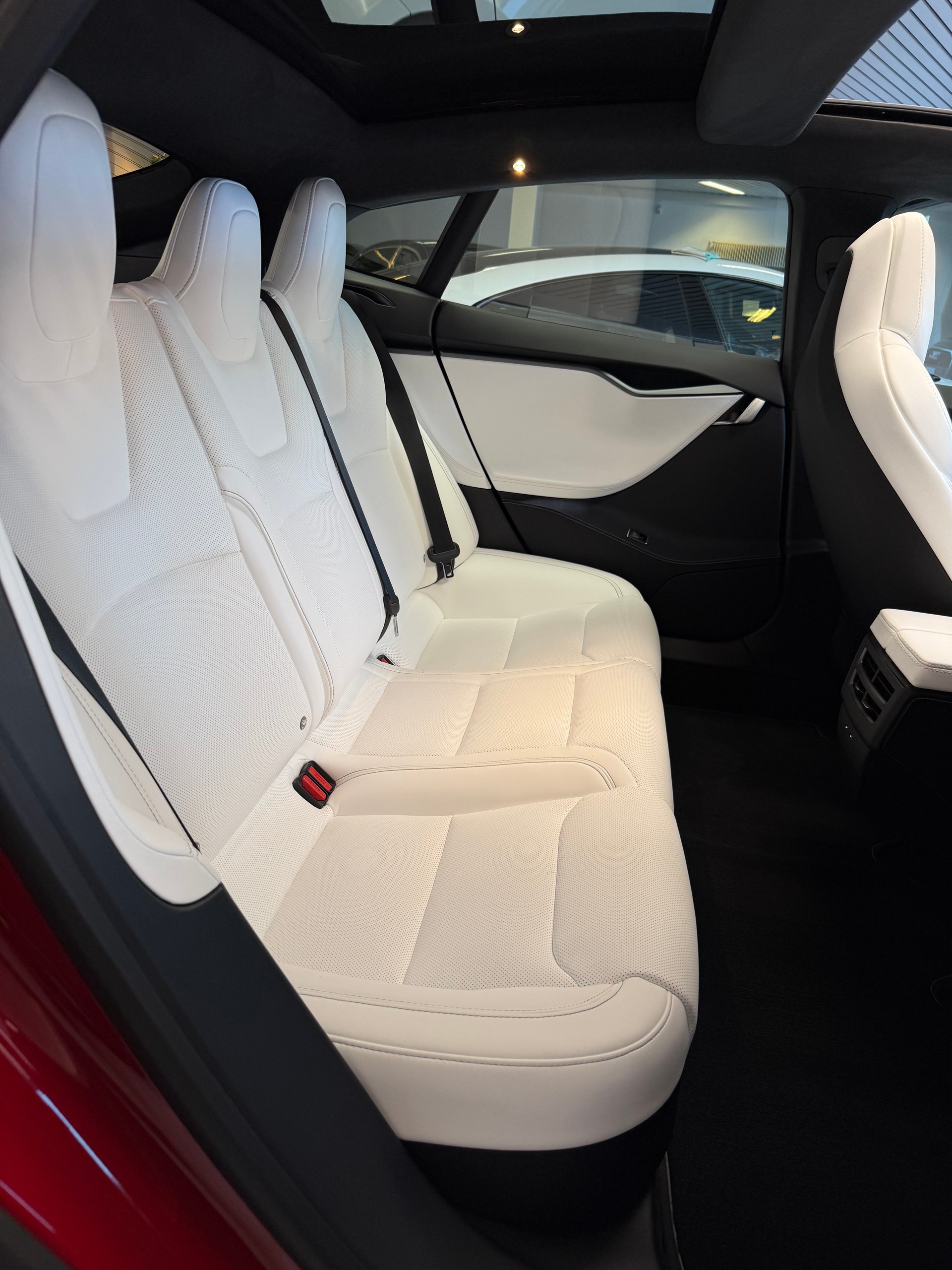 TESLA Model S 100 D Performance-image-15