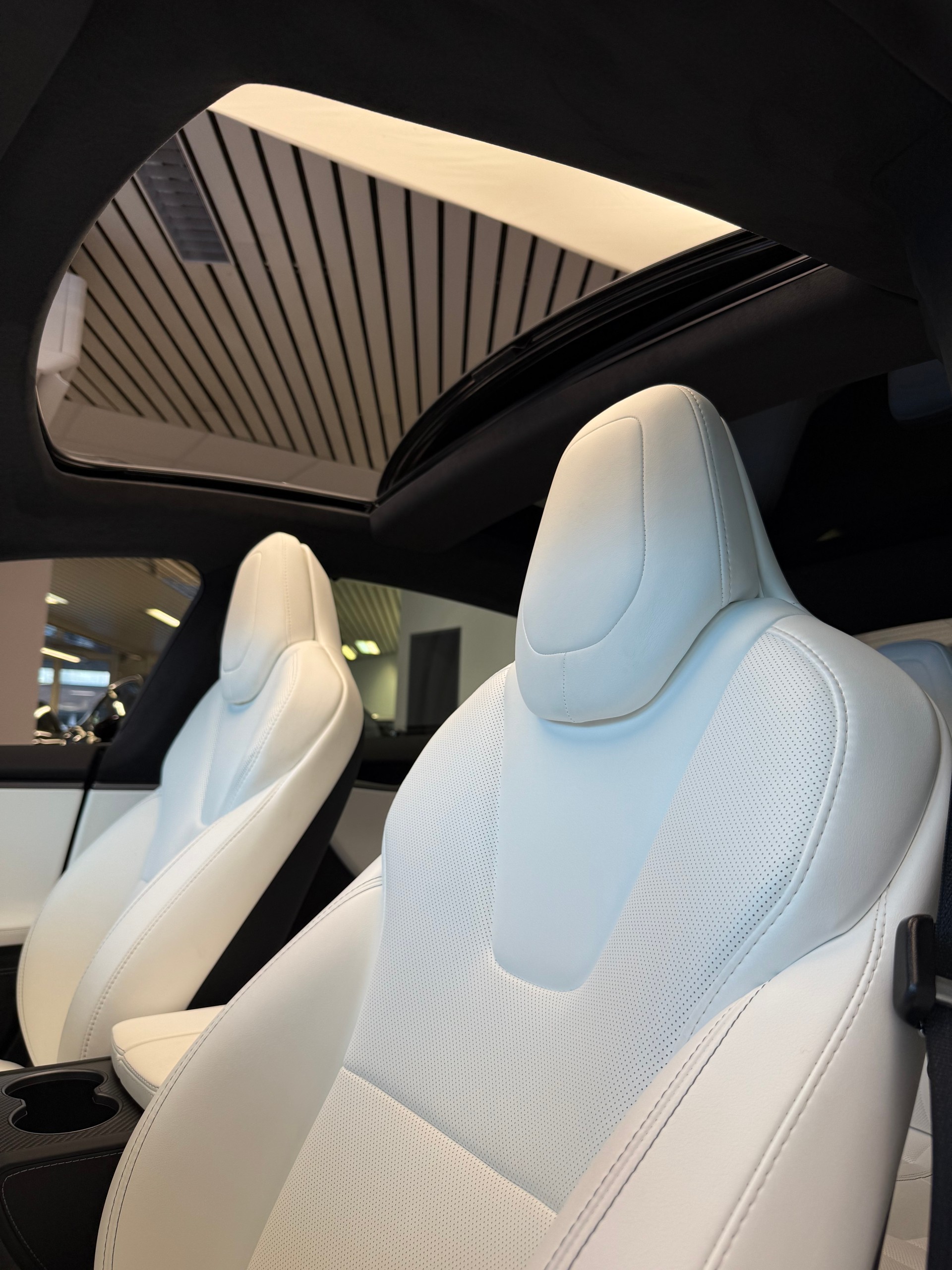 TESLA Model S 100 D Performance-image-8