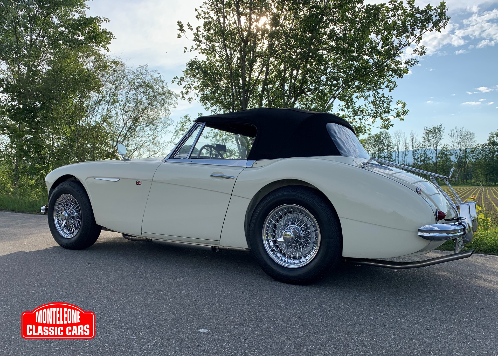AUSTIN-HEALEY 3000 Mk III-image-7