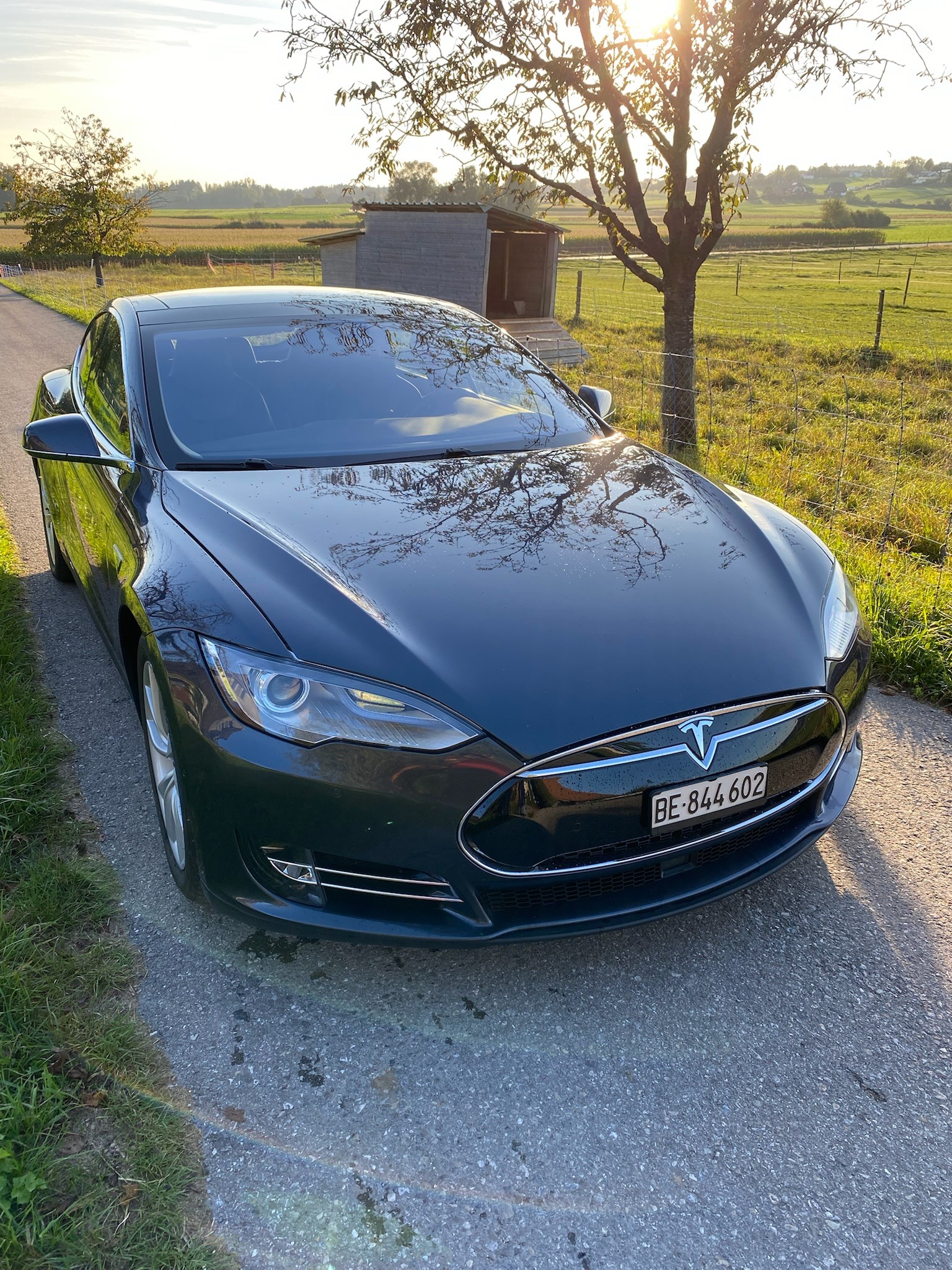 TESLA 85