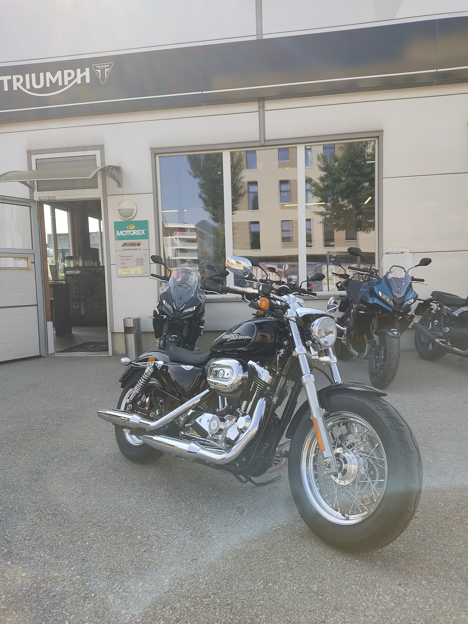 HARLEY-DAVIDSON XL 1200 C Sportster Custom-image-0