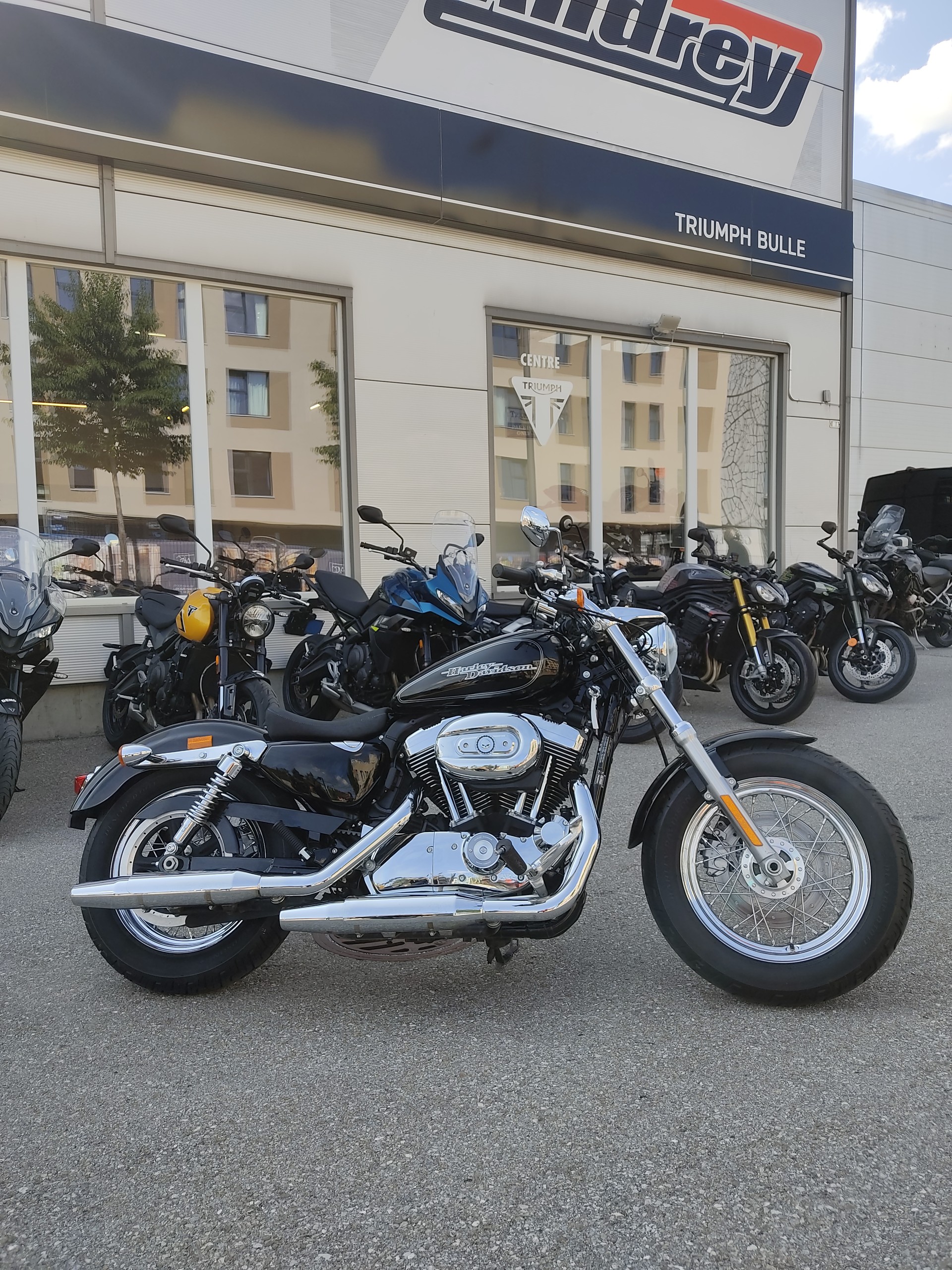 HARLEY-DAVIDSON XL 1200 C Sportster Custom-image-1
