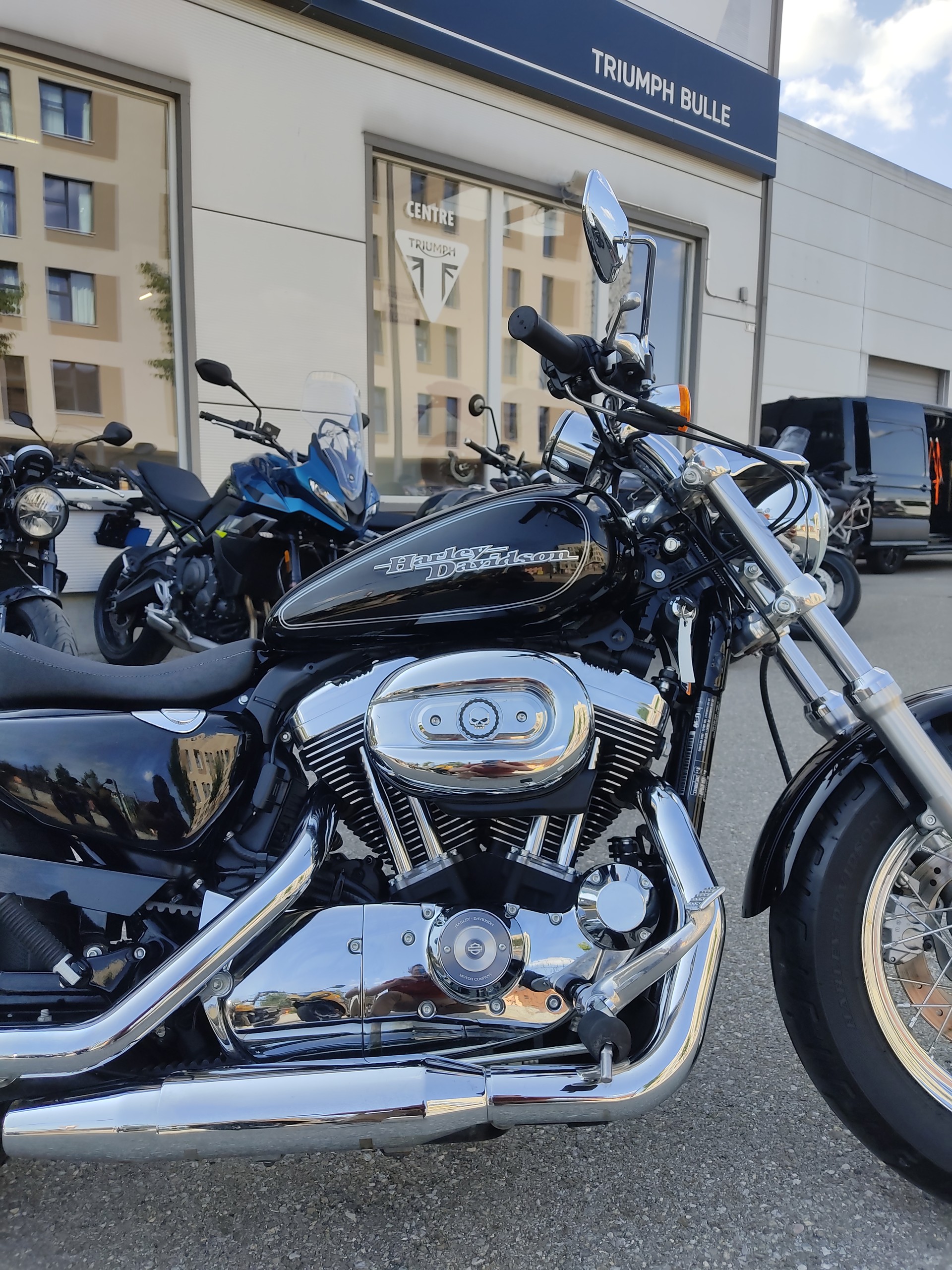 HARLEY-DAVIDSON XL 1200 C Sportster Custom-image-2