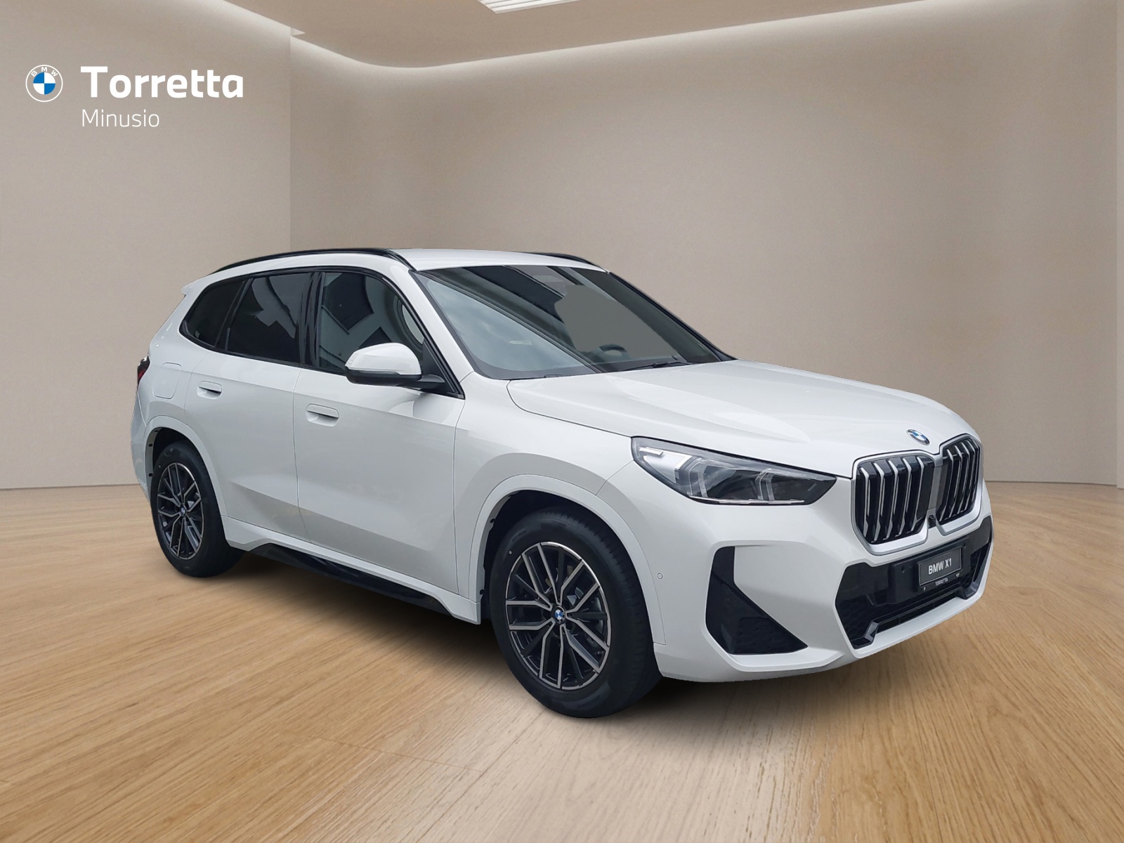 BMW X1 xDrive 20d 48V M Sport-image-6
