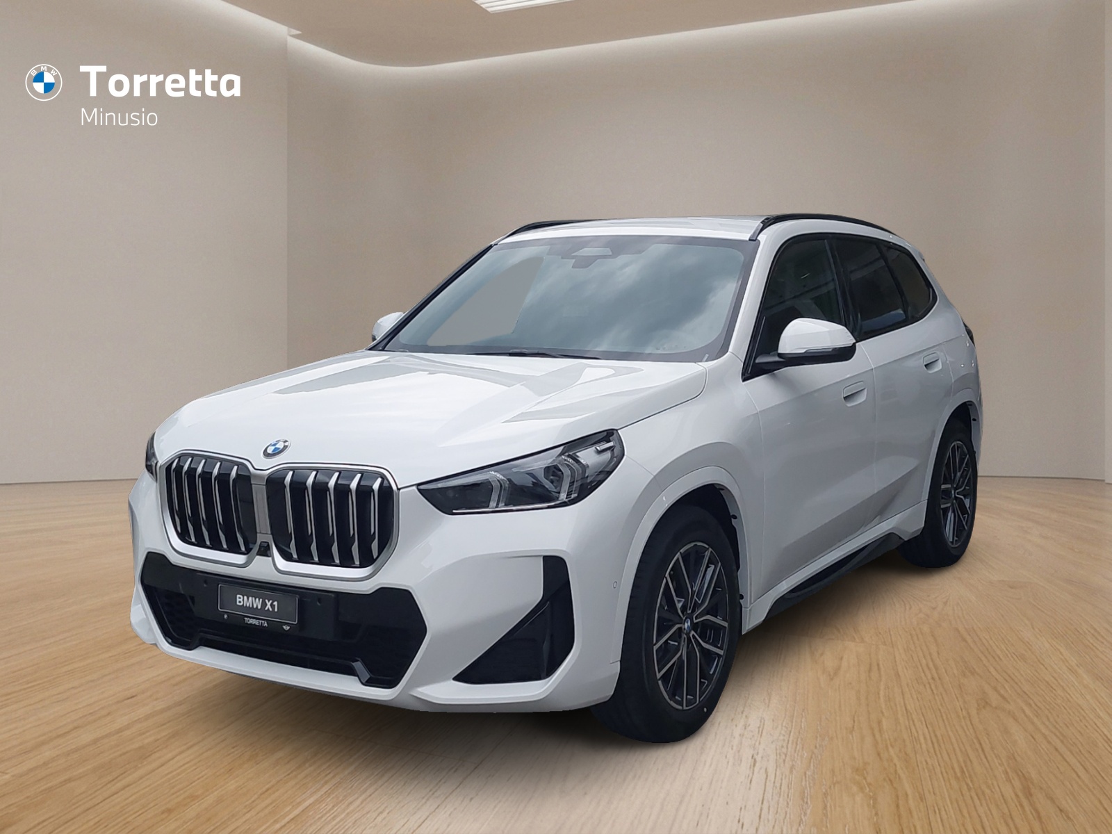 BMW X1 xDrive 20d 48V M Sport-image-0