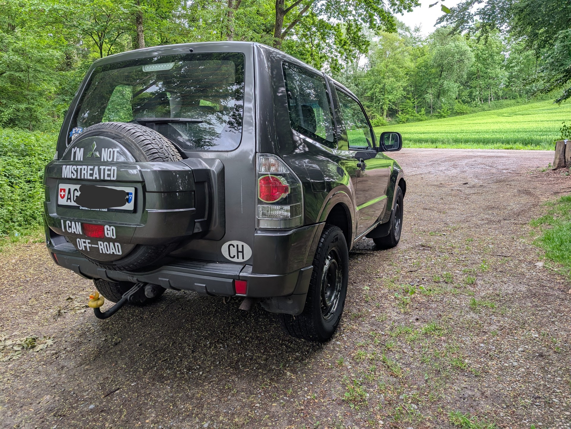 MITSUBISHI 3.2 DID Swiss Professional-image-1