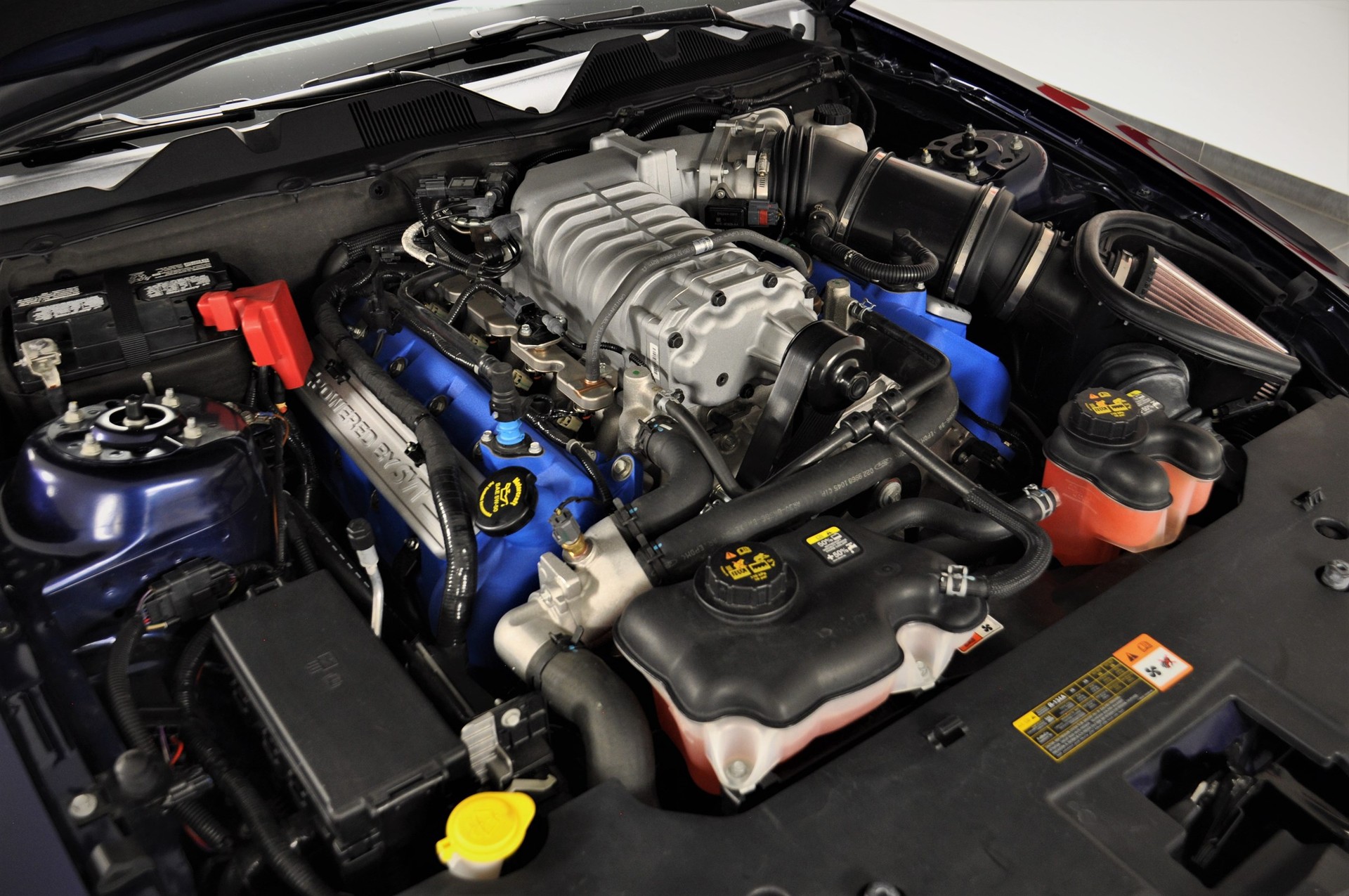 FORD MUSTANG Shelby GT 500 SVT-image-15