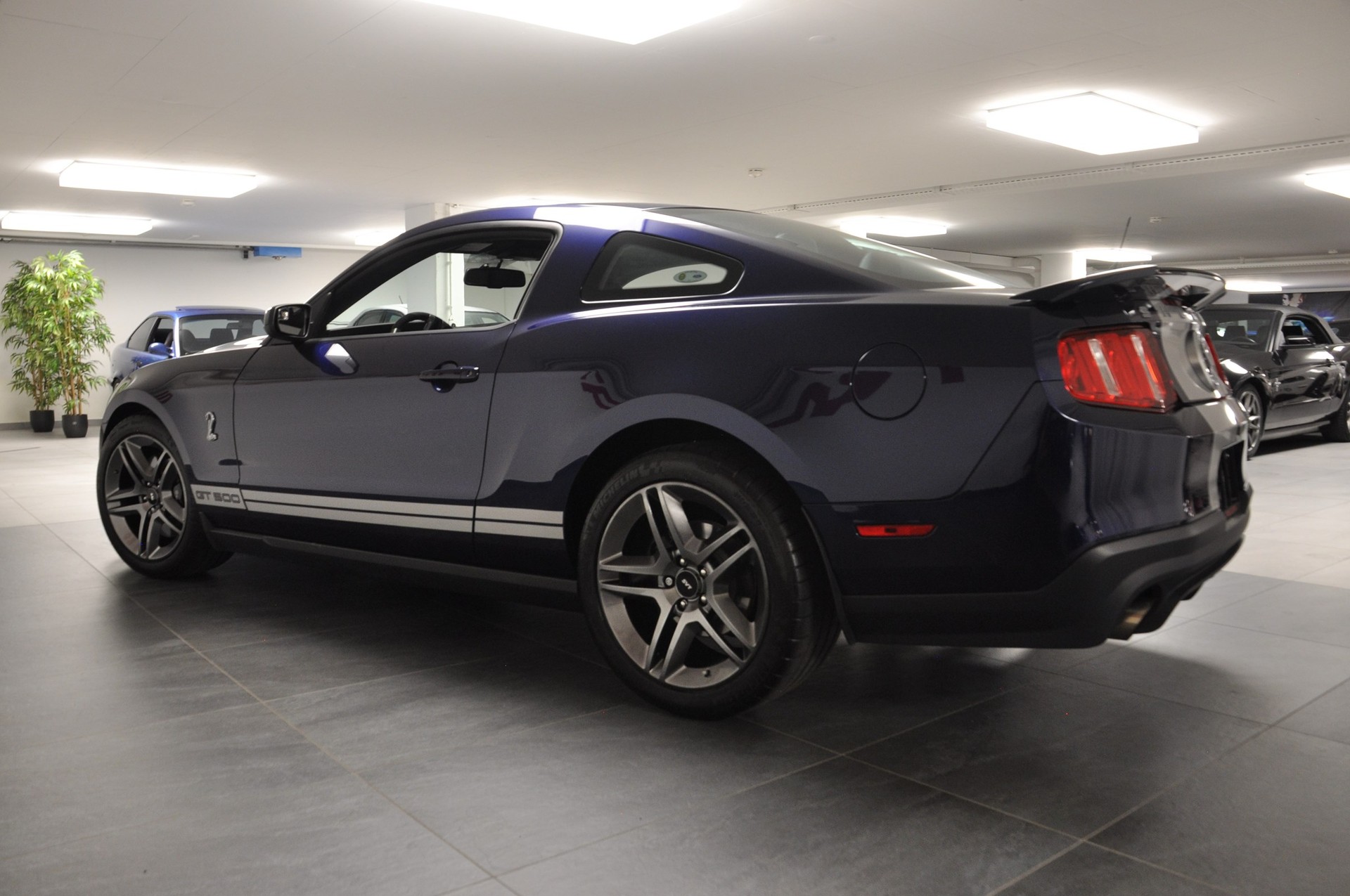 FORD MUSTANG Shelby GT 500 SVT-image-8