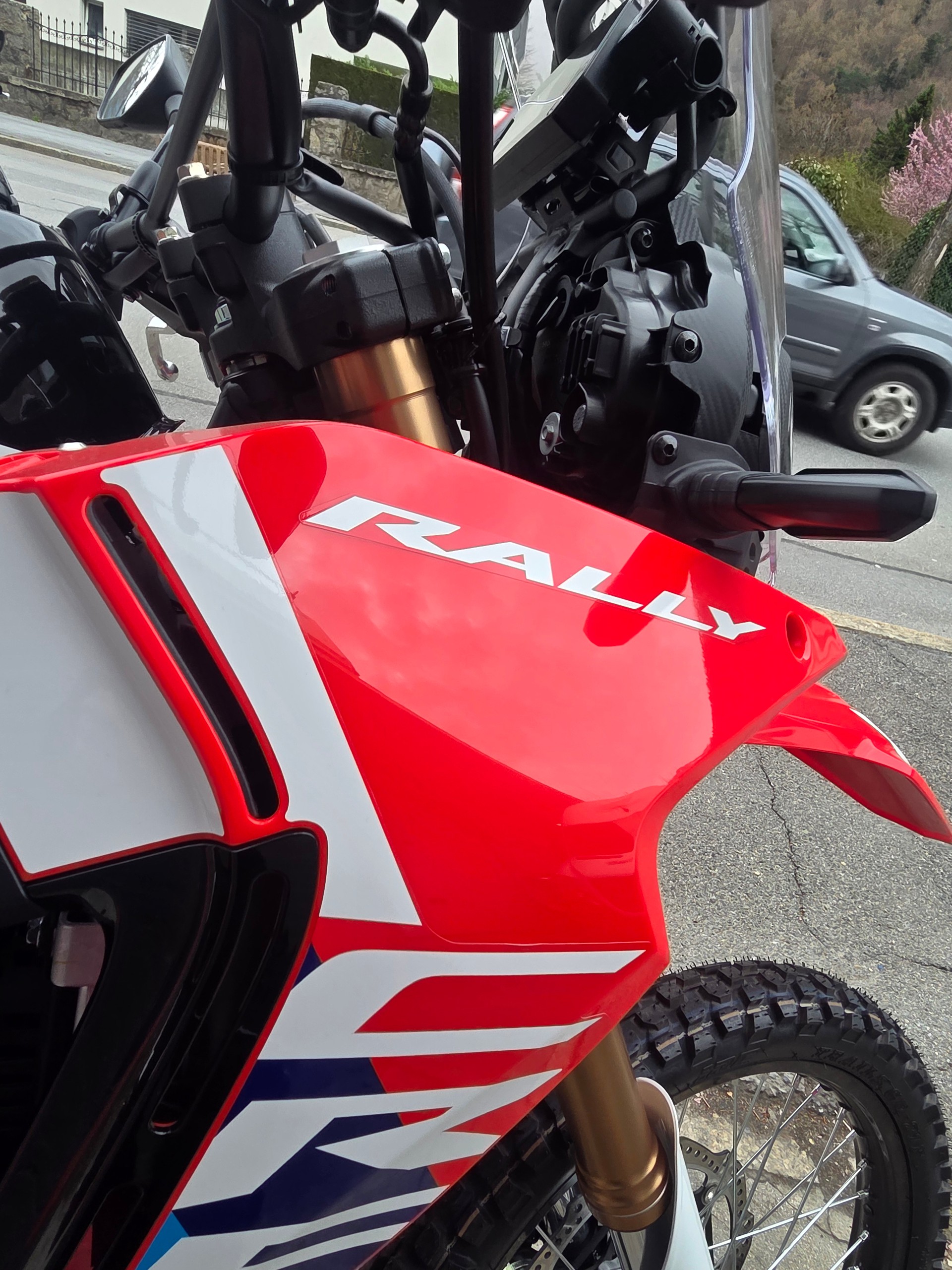 HONDA CRF 300 RL Rally-image-3