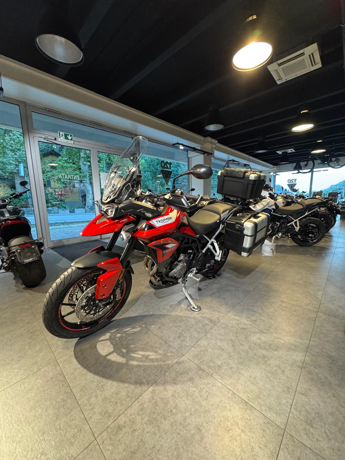 TRIUMPH Tiger 900 GT Pro-image-2
