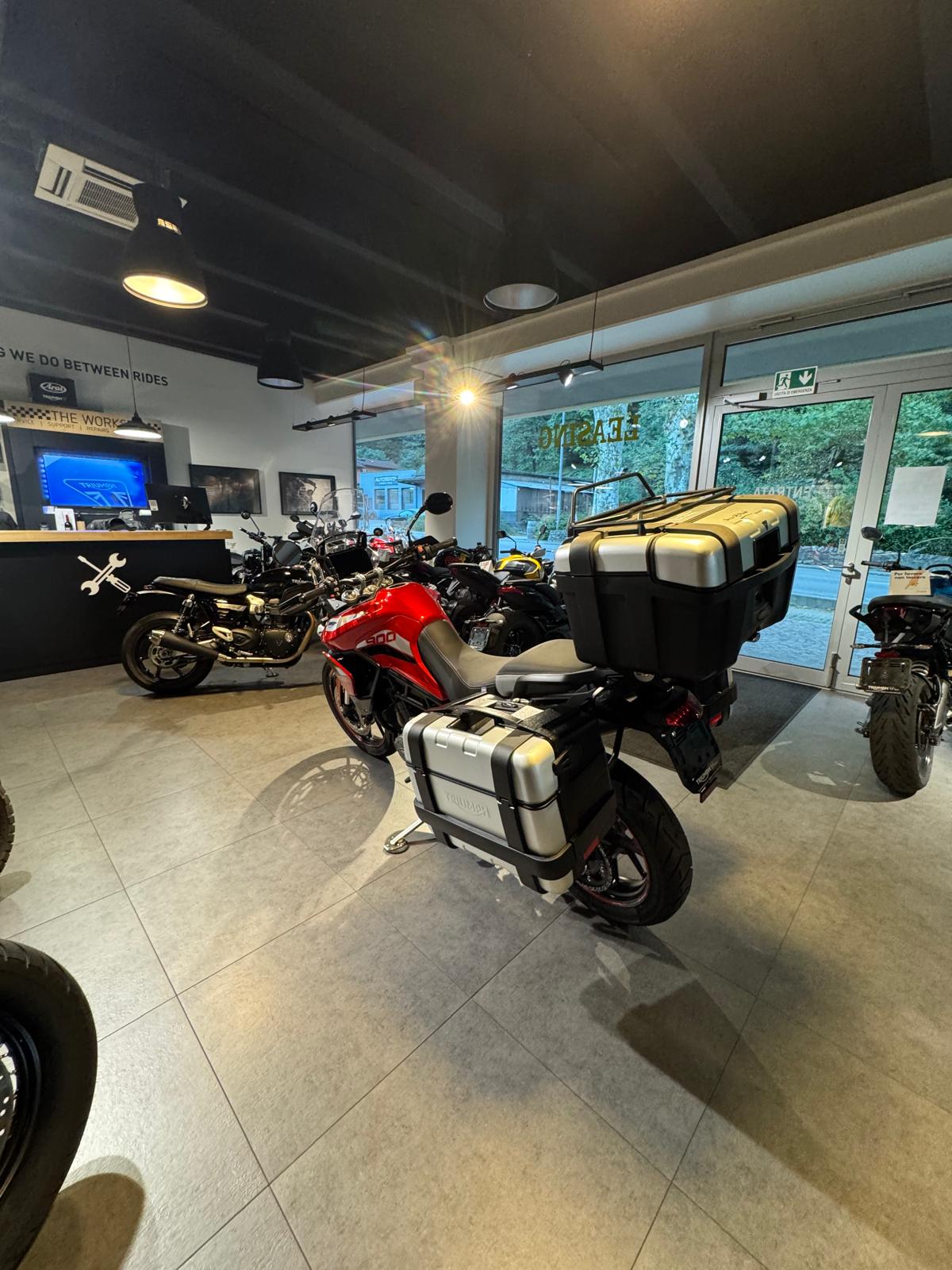 TRIUMPH Tiger 900 GT Pro-image-5