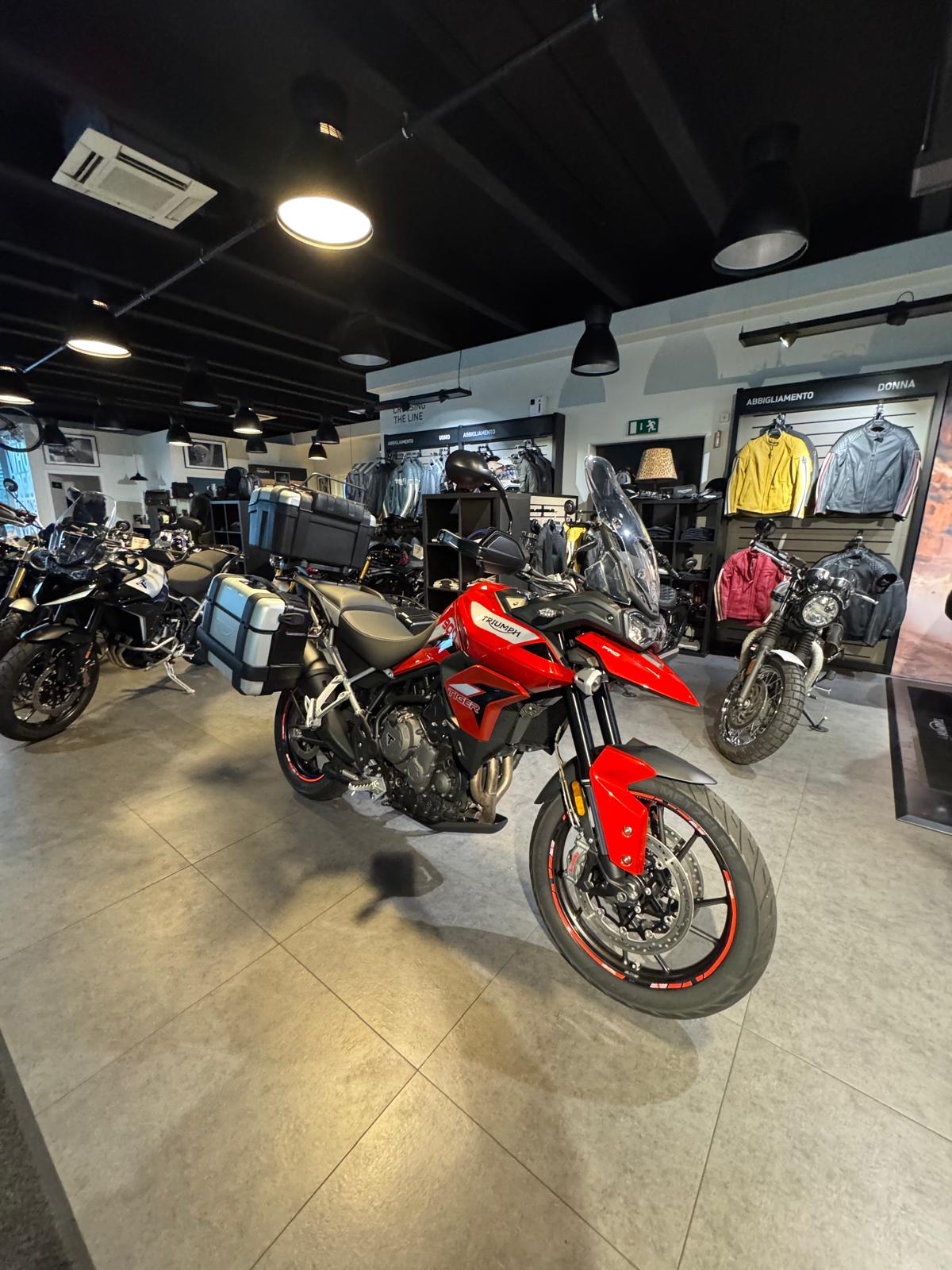TRIUMPH Tiger 900 GT Pro-image-3