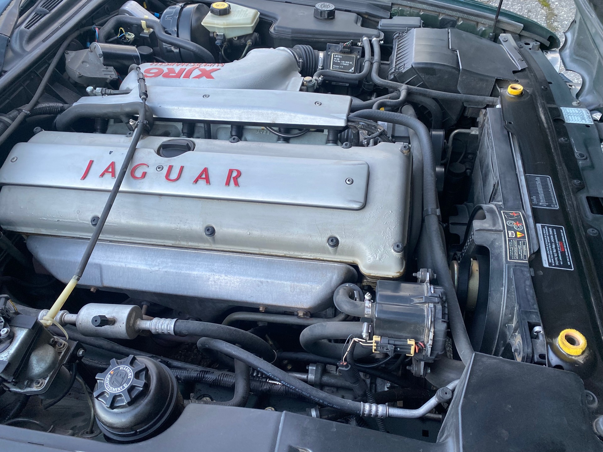 JAGUAR XJR 4.0 Supercharged-image-10