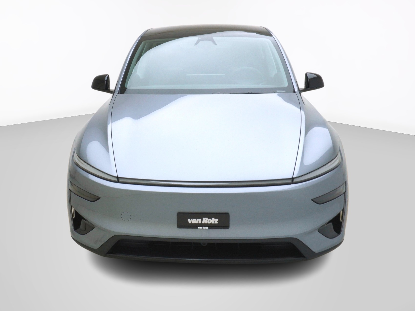 TESLA Model Y Performance AWD-image-7