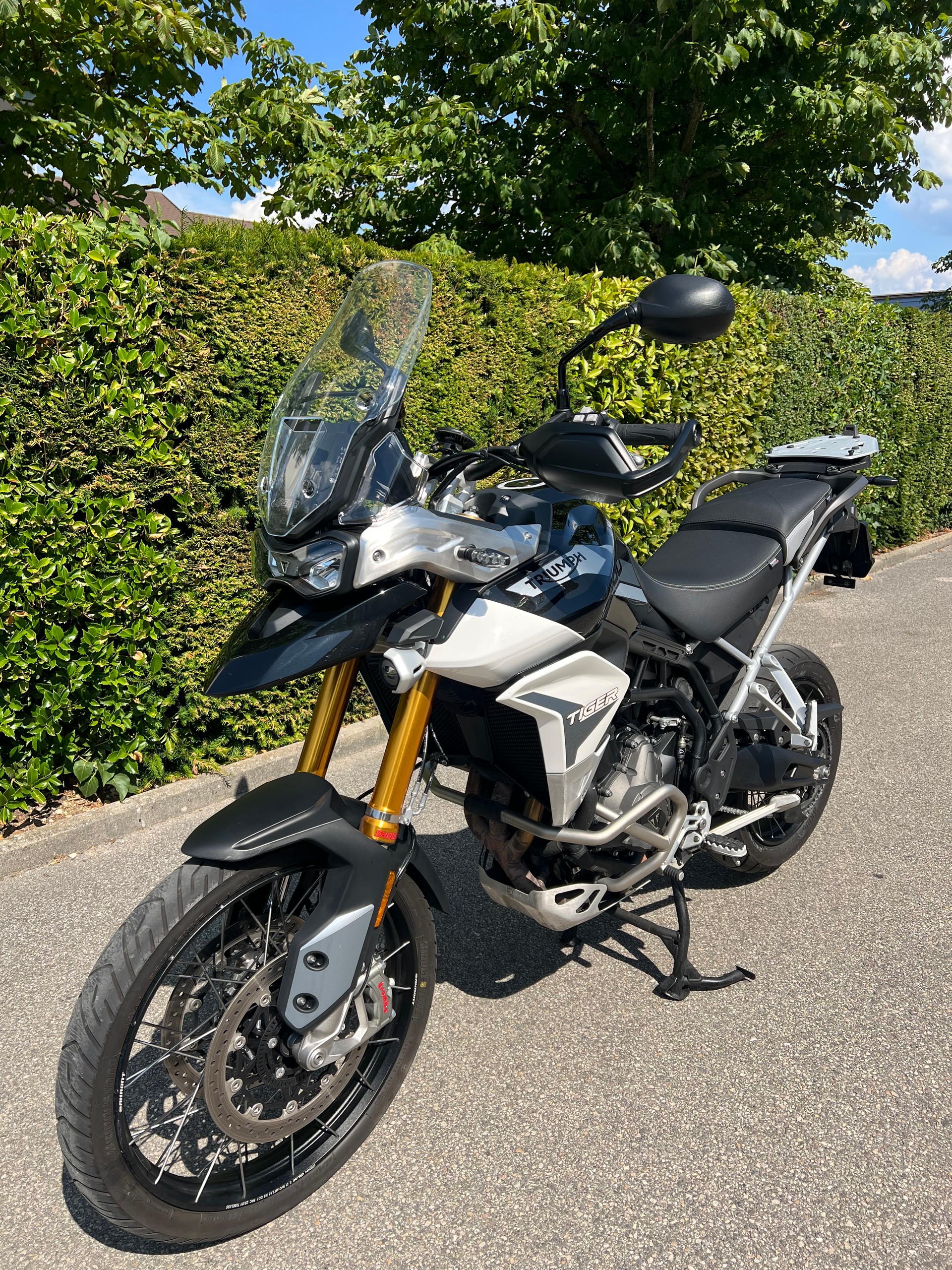 TRIUMPH Tiger 900 Rally Pro-image-2