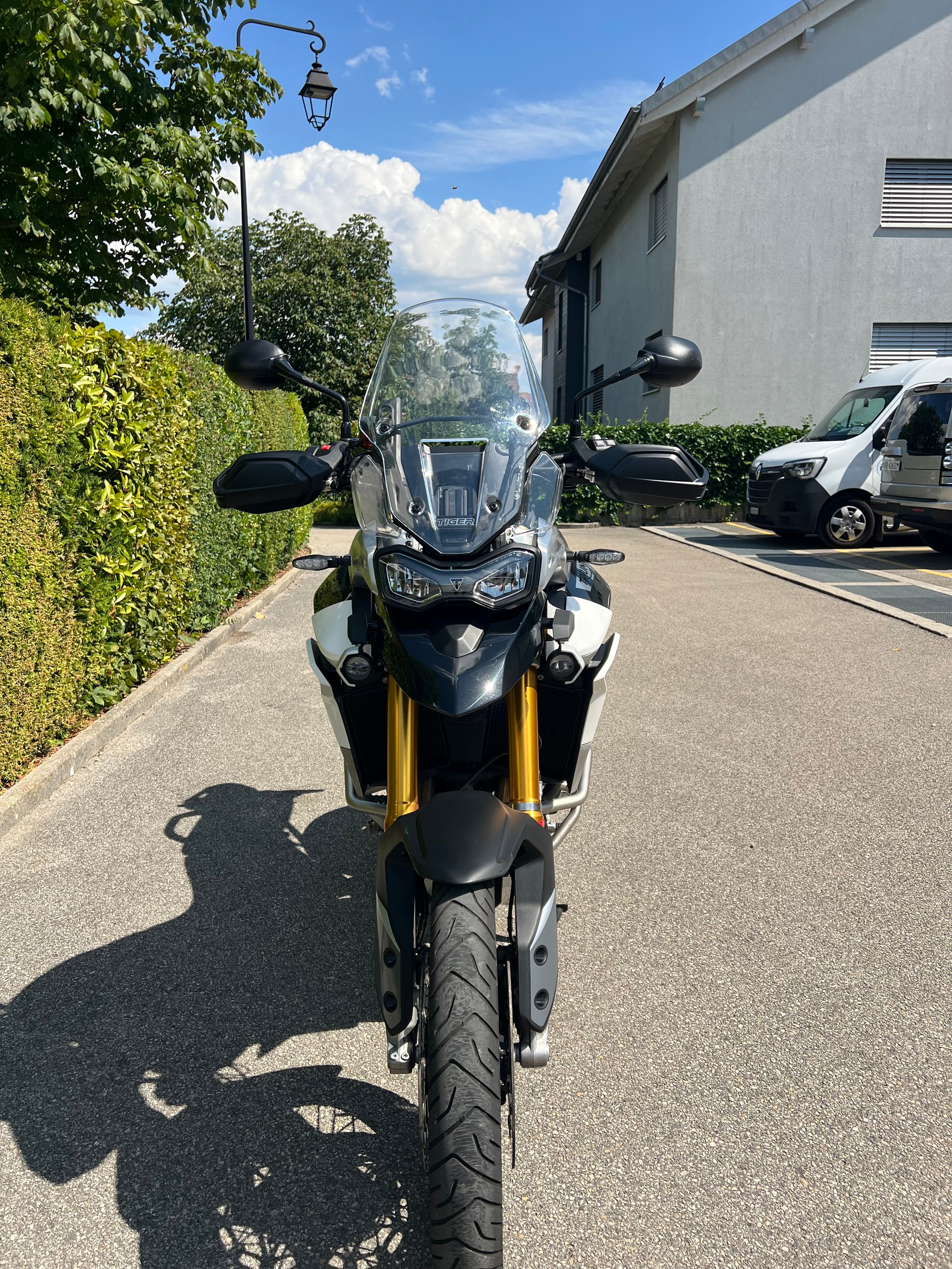 TRIUMPH Tiger 900 Rally Pro-image-1