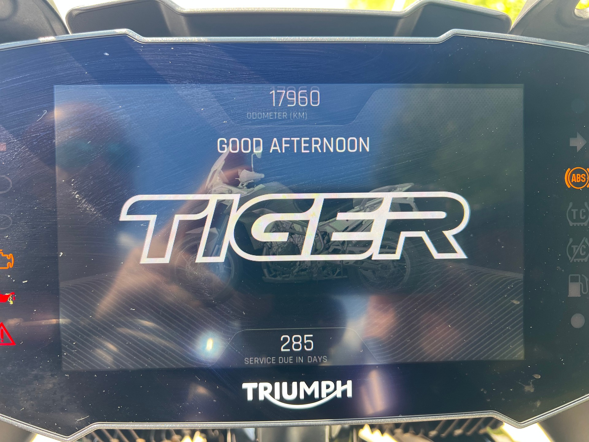 TRIUMPH Tiger 900 Rally Pro-image-5