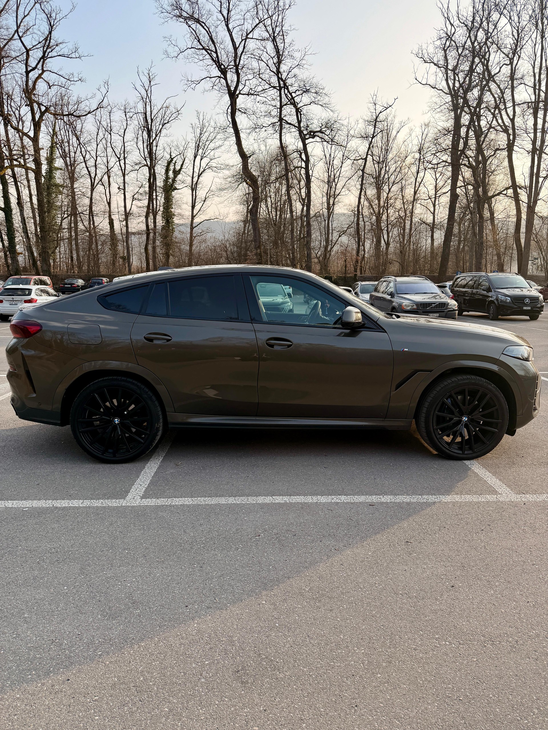 BMW X6 xDrive 48V 30d M Sport Pro Steptronic Manhattan metallic-image-1