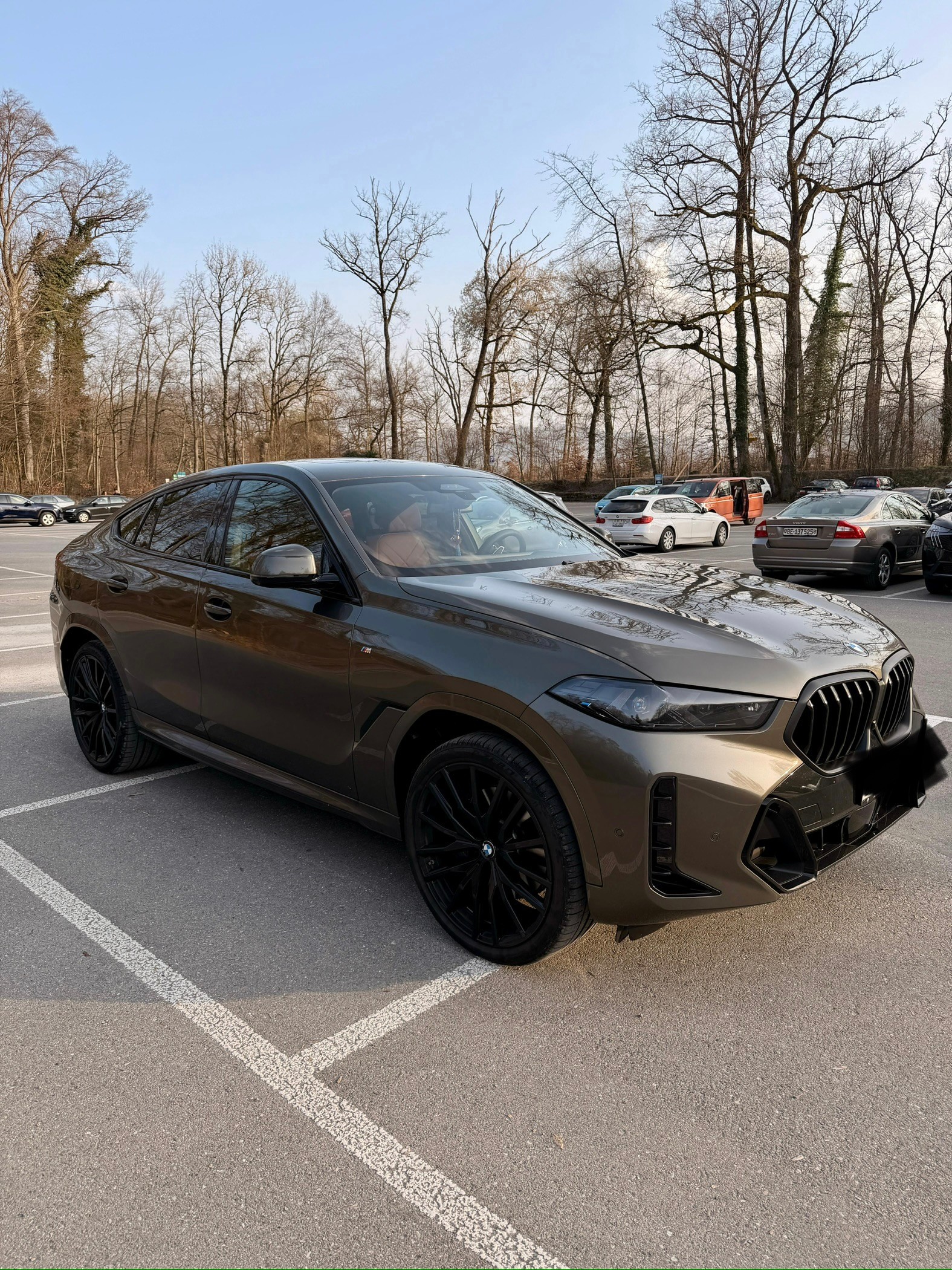 BMW X6 xDrive 48V 30d M Sport Pro Steptronic Manhattan metallic-image-2