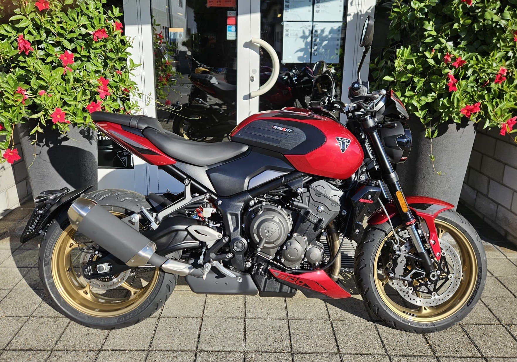 TRIUMPH Trident 800-image-1