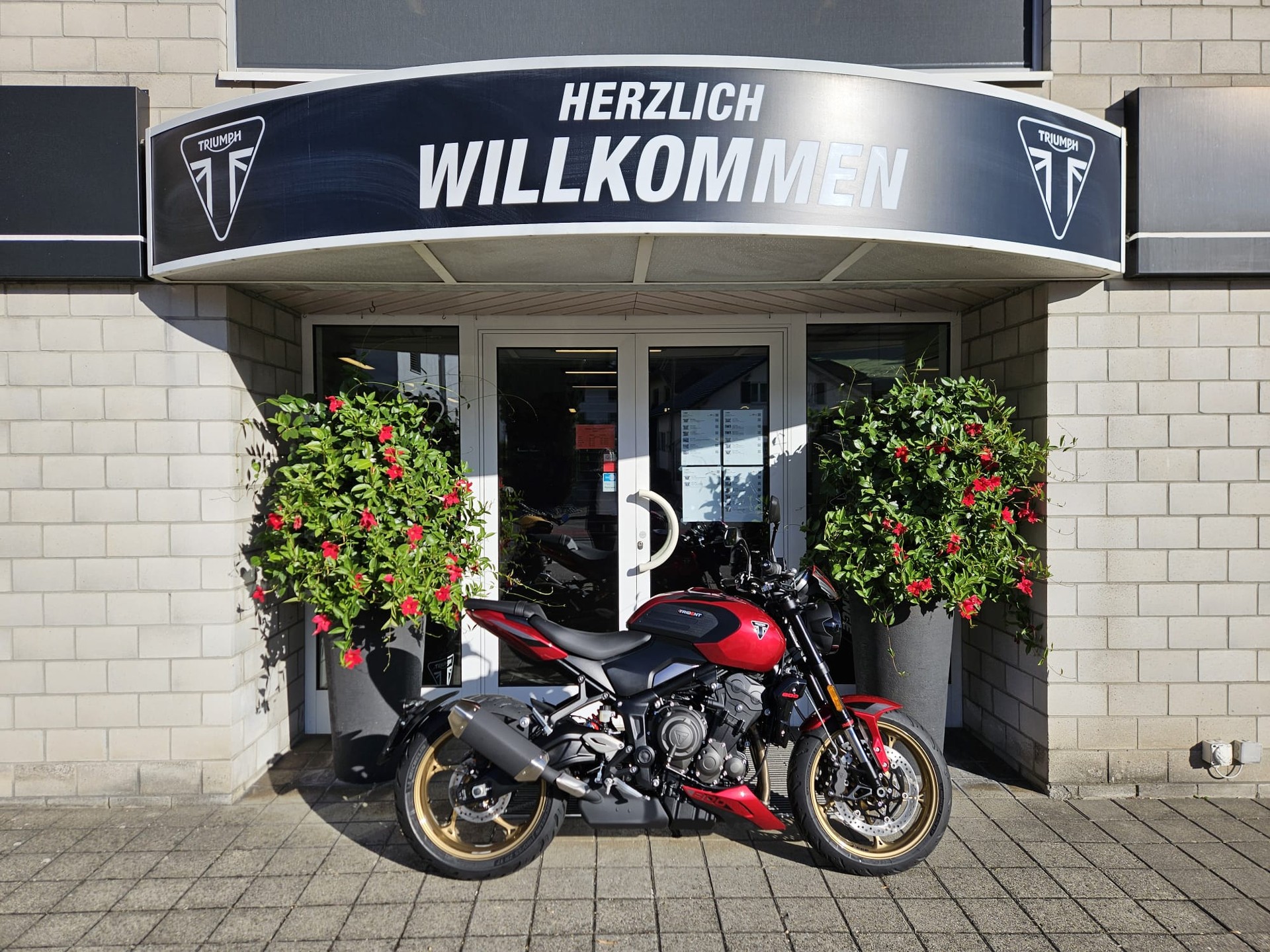 TRIUMPH Trident 800-image-0