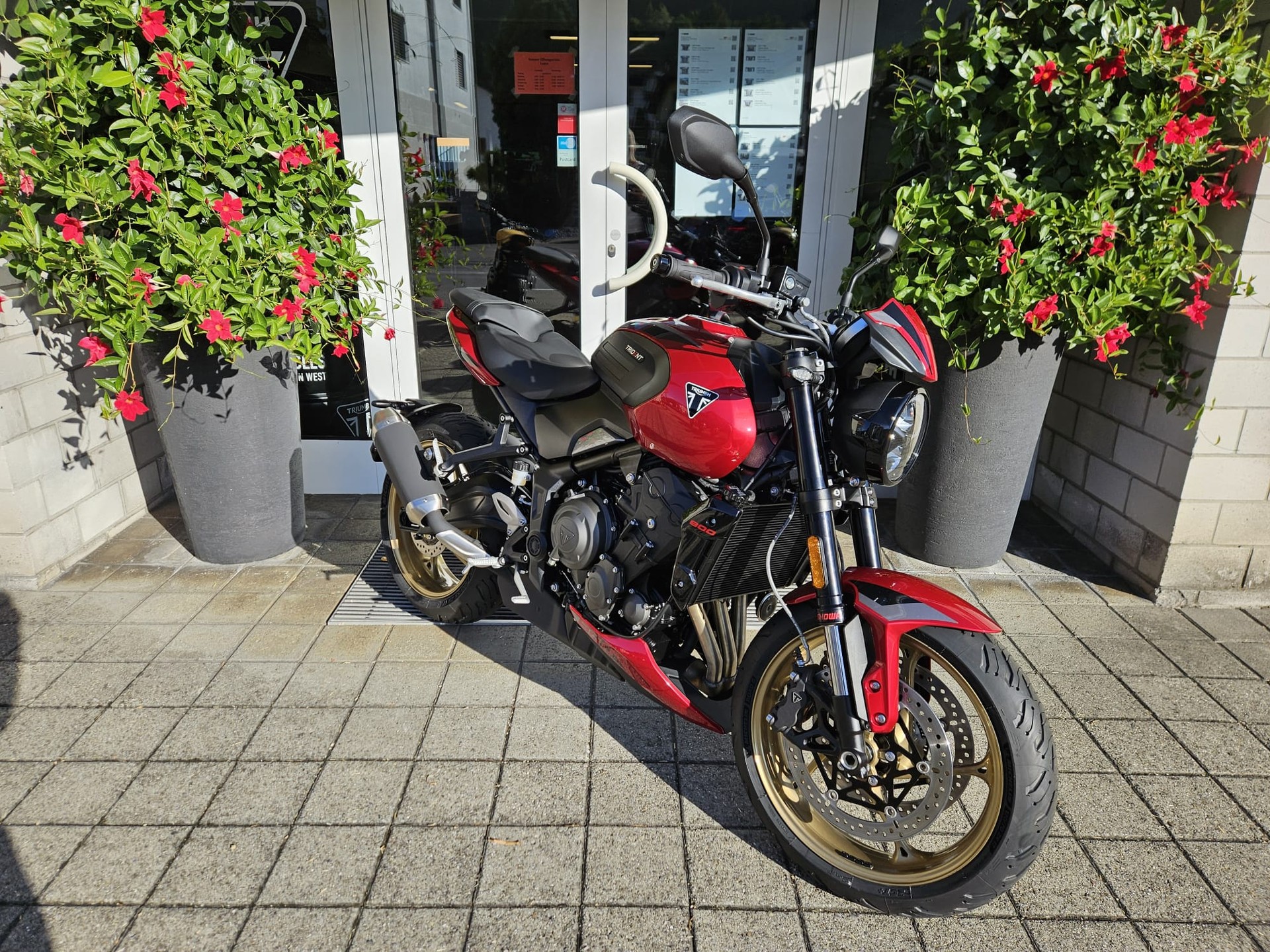 TRIUMPH Trident 800-image-2