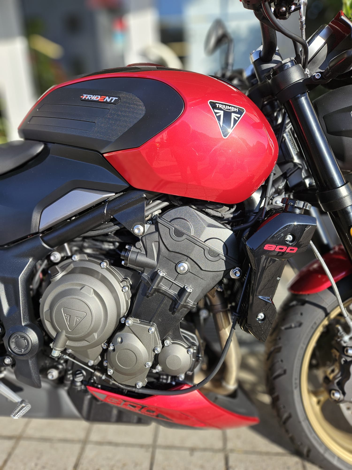 TRIUMPH Trident 800-image-10