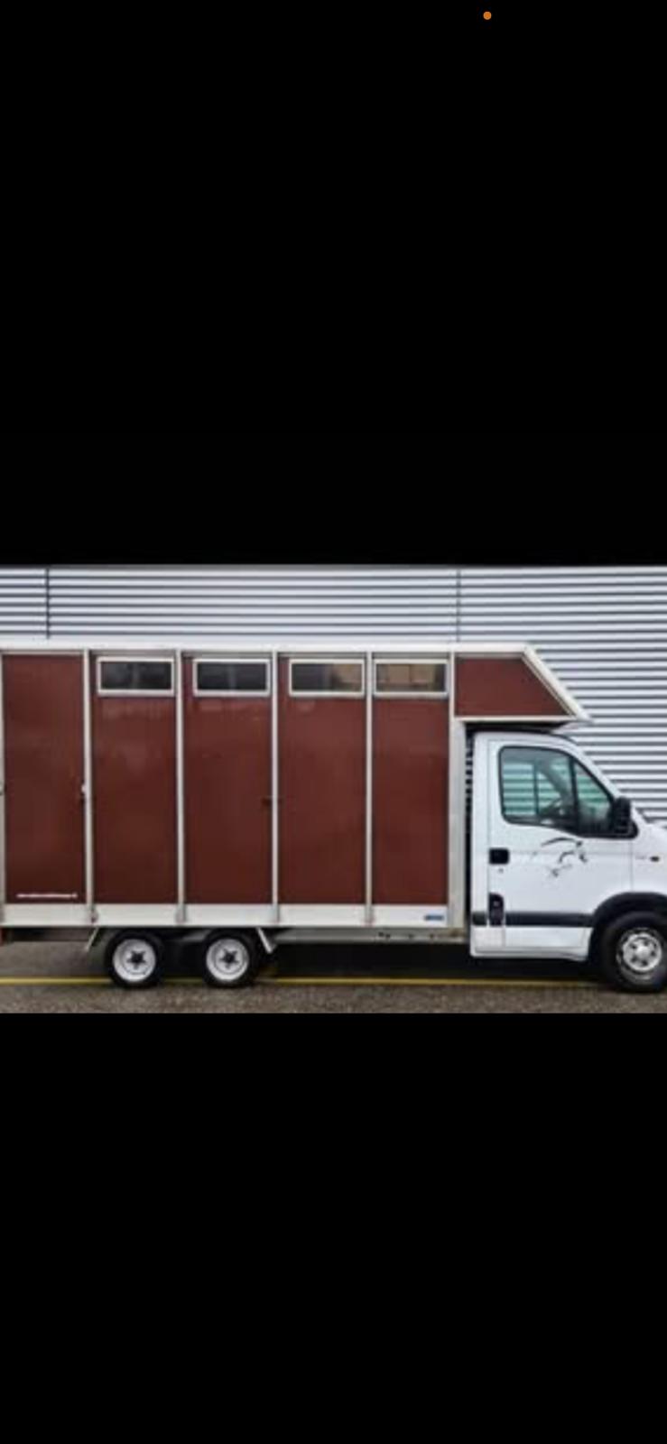 RENAULT 2.8 dTi Van Chevaux Pferde Transport-image-11