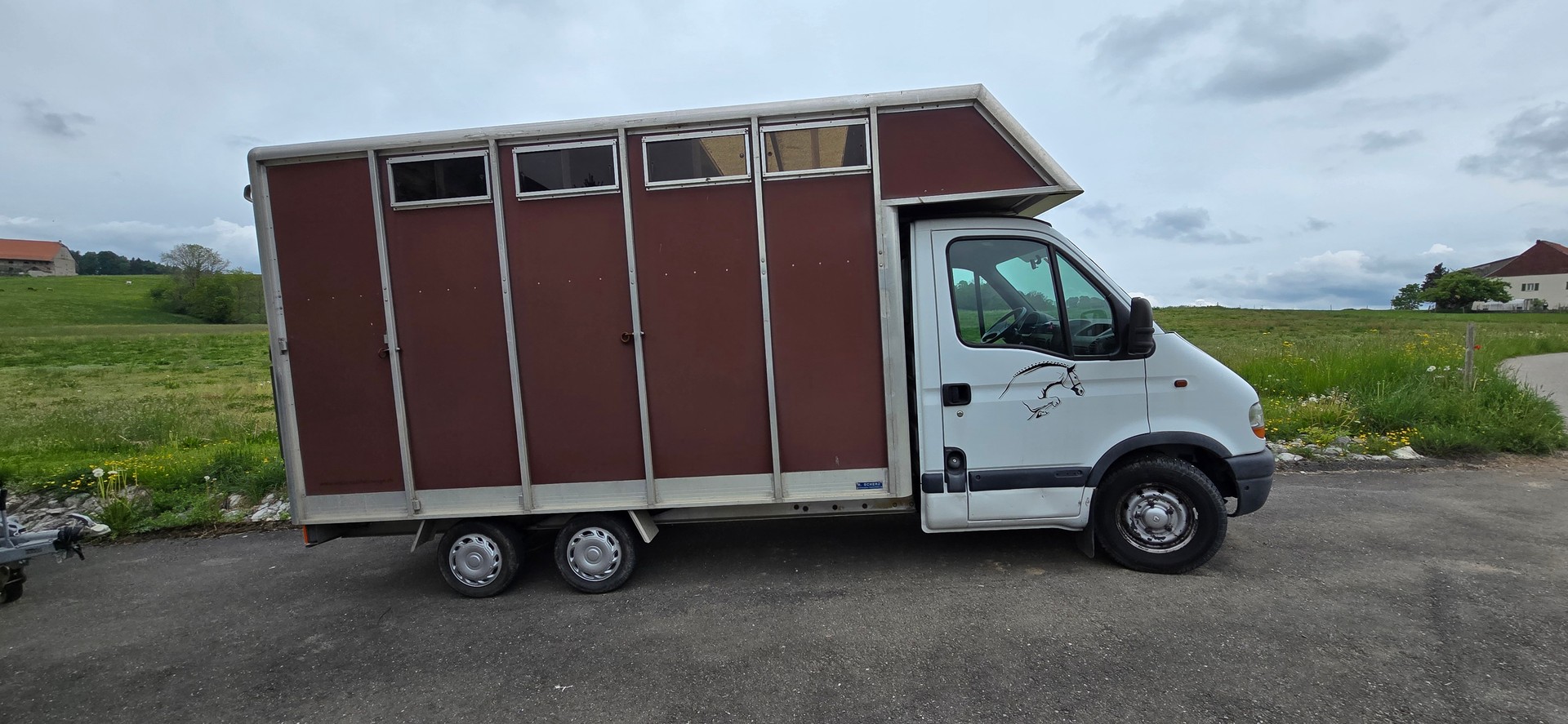 RENAULT 2.8 dTi Van Chevaux Pferde Transport-image-1