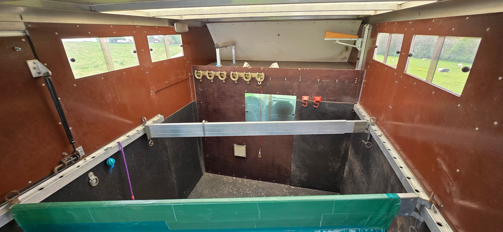 RENAULT 2.8 dTi Van Chevaux Pferde Transport-image-7