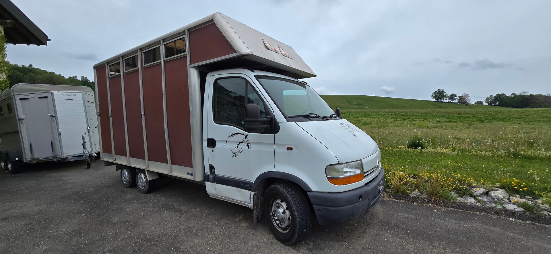 RENAULT 2.8 dTi Van Chevaux Pferde Transport-image-2