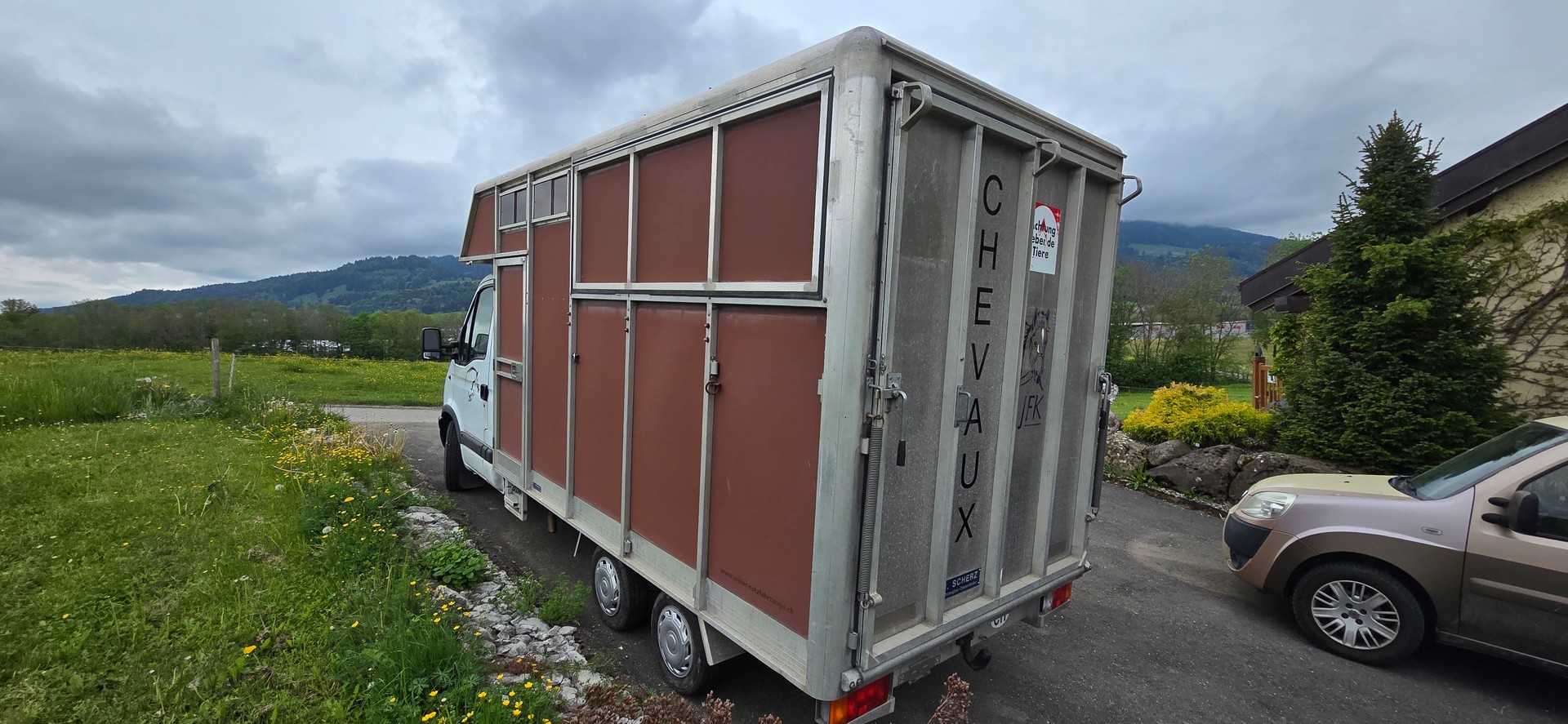 RENAULT 2.8 dTi Van Chevaux Pferde Transport-image-4