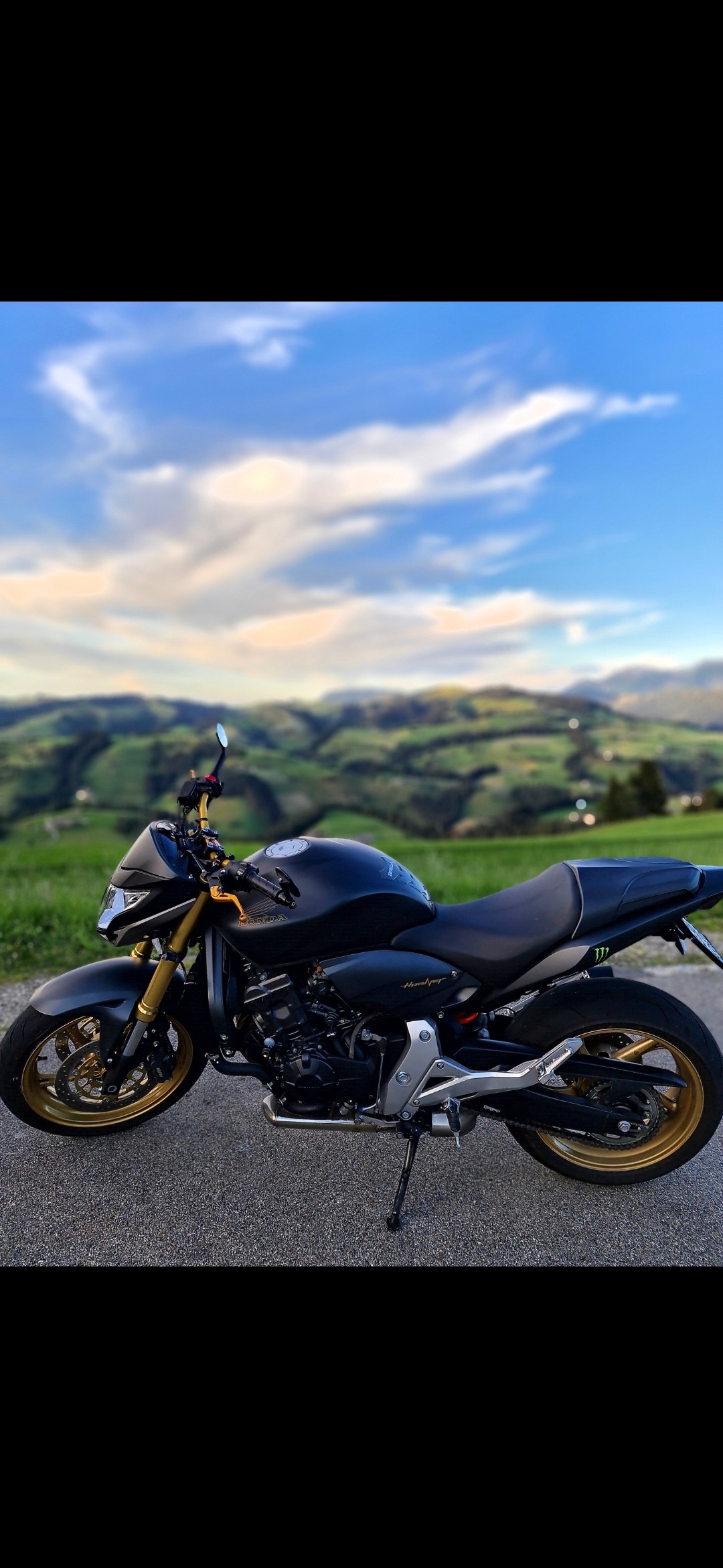 HONDA CB 600 F ABS Hornet-image-1