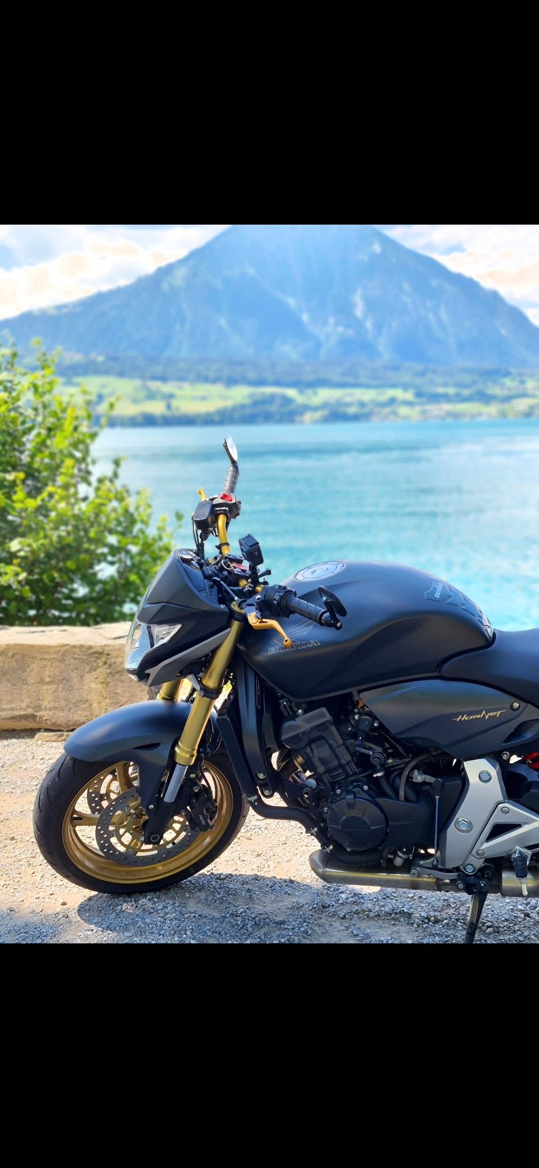 HONDA CB 600 F ABS Hornet-image-2
