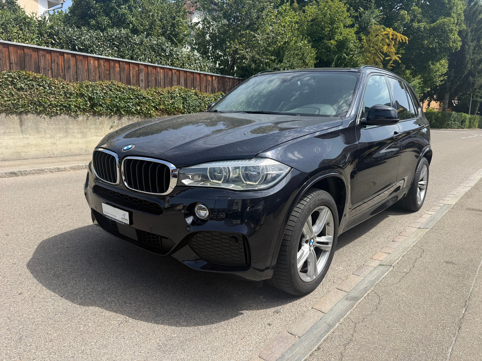BMW X5 xDrive 30d Steptronic-showroom-element-1