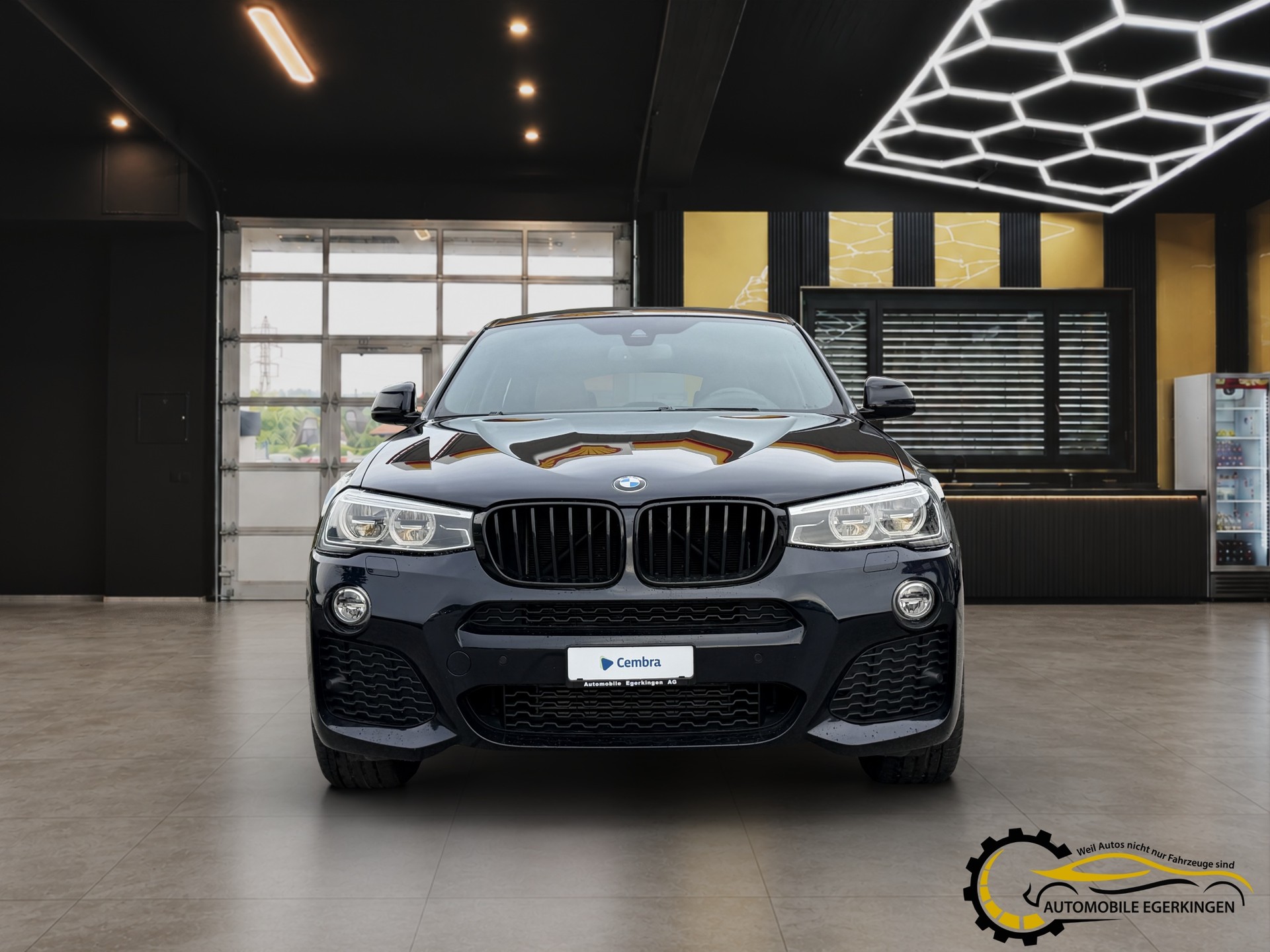 BMW X4 30d xDrive SAG M-Paket-showroom-element-1