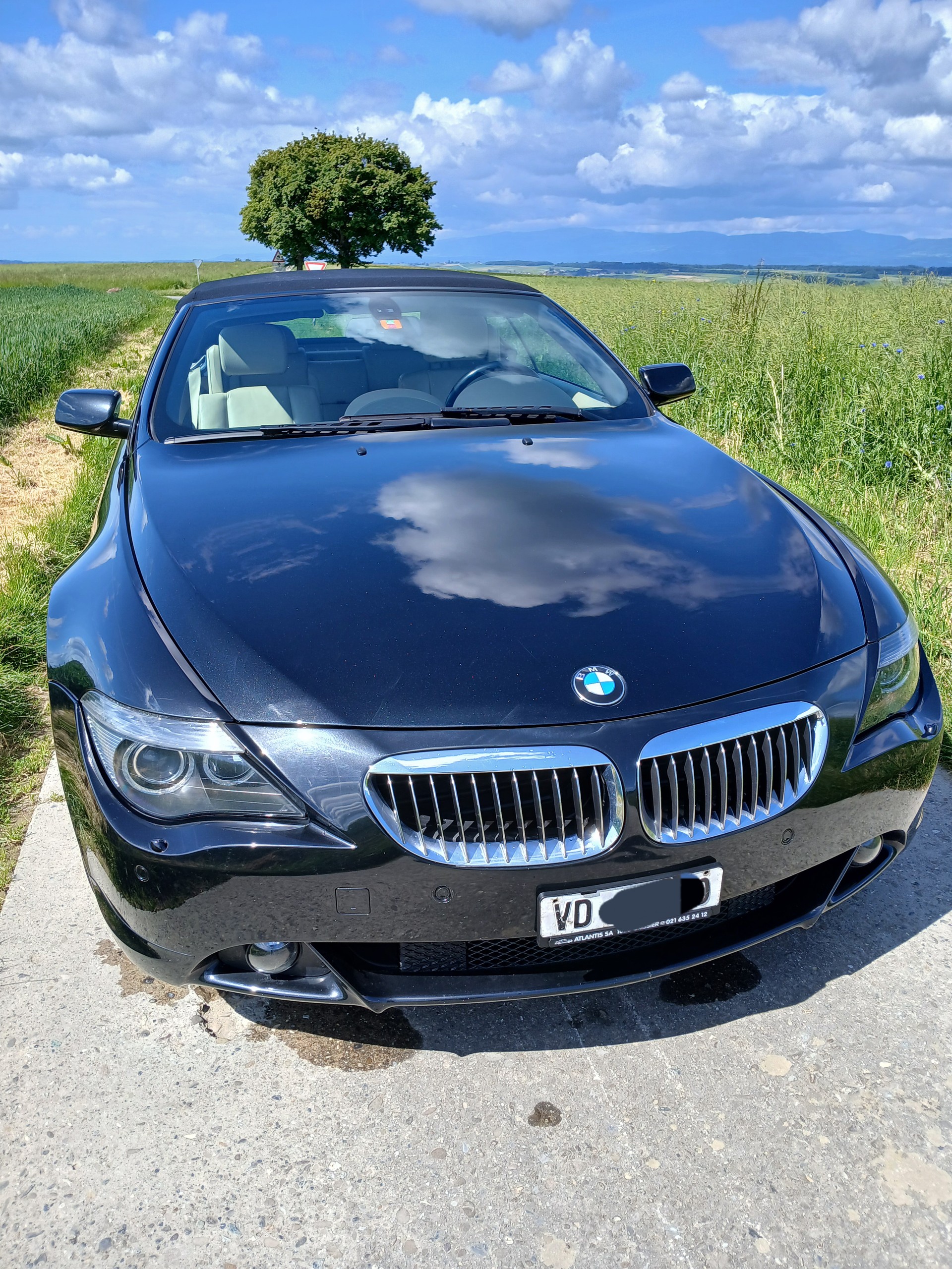 BMW 645 CI-image-1
