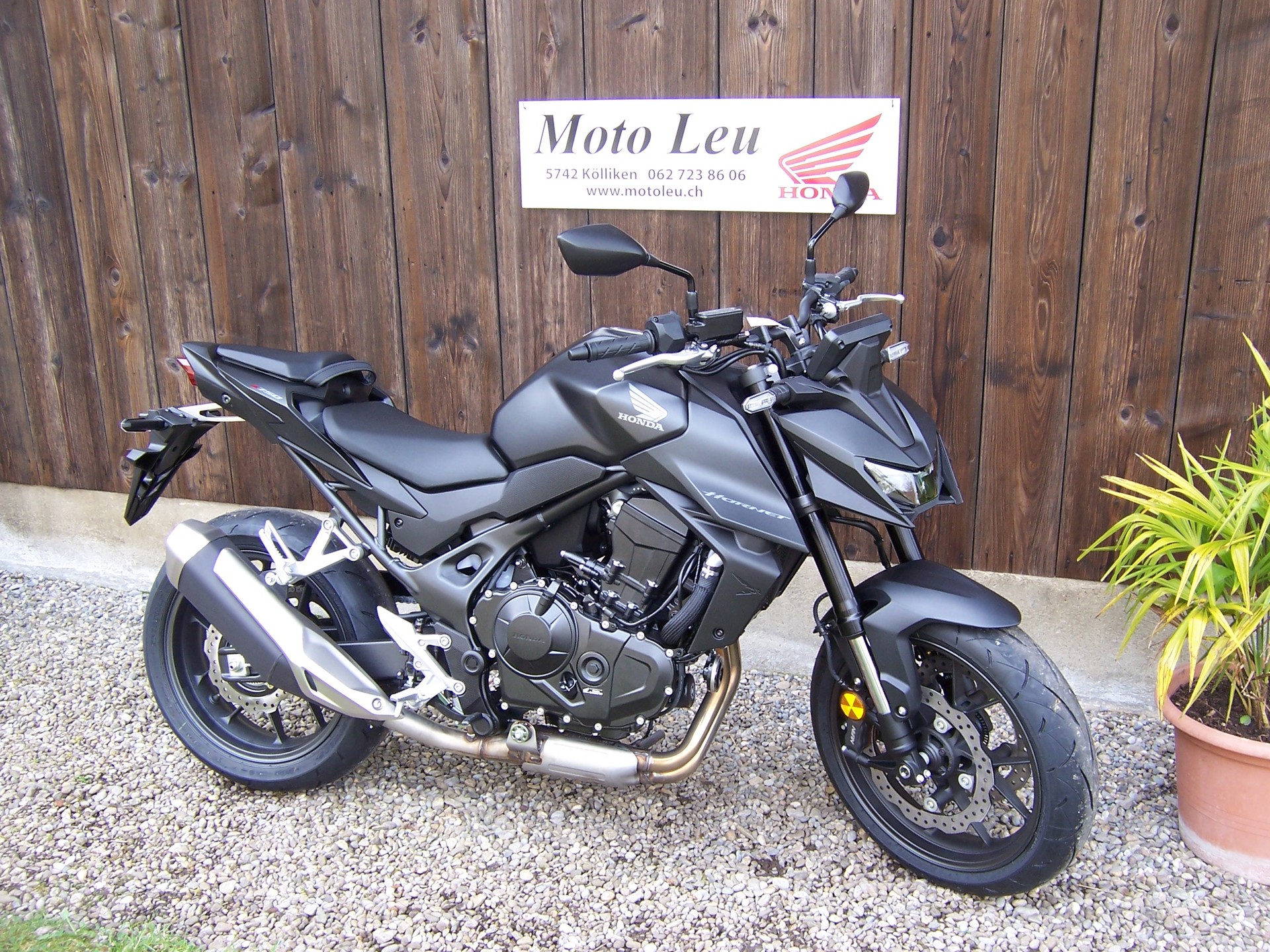 HONDA CB 750 Hornet-image-1