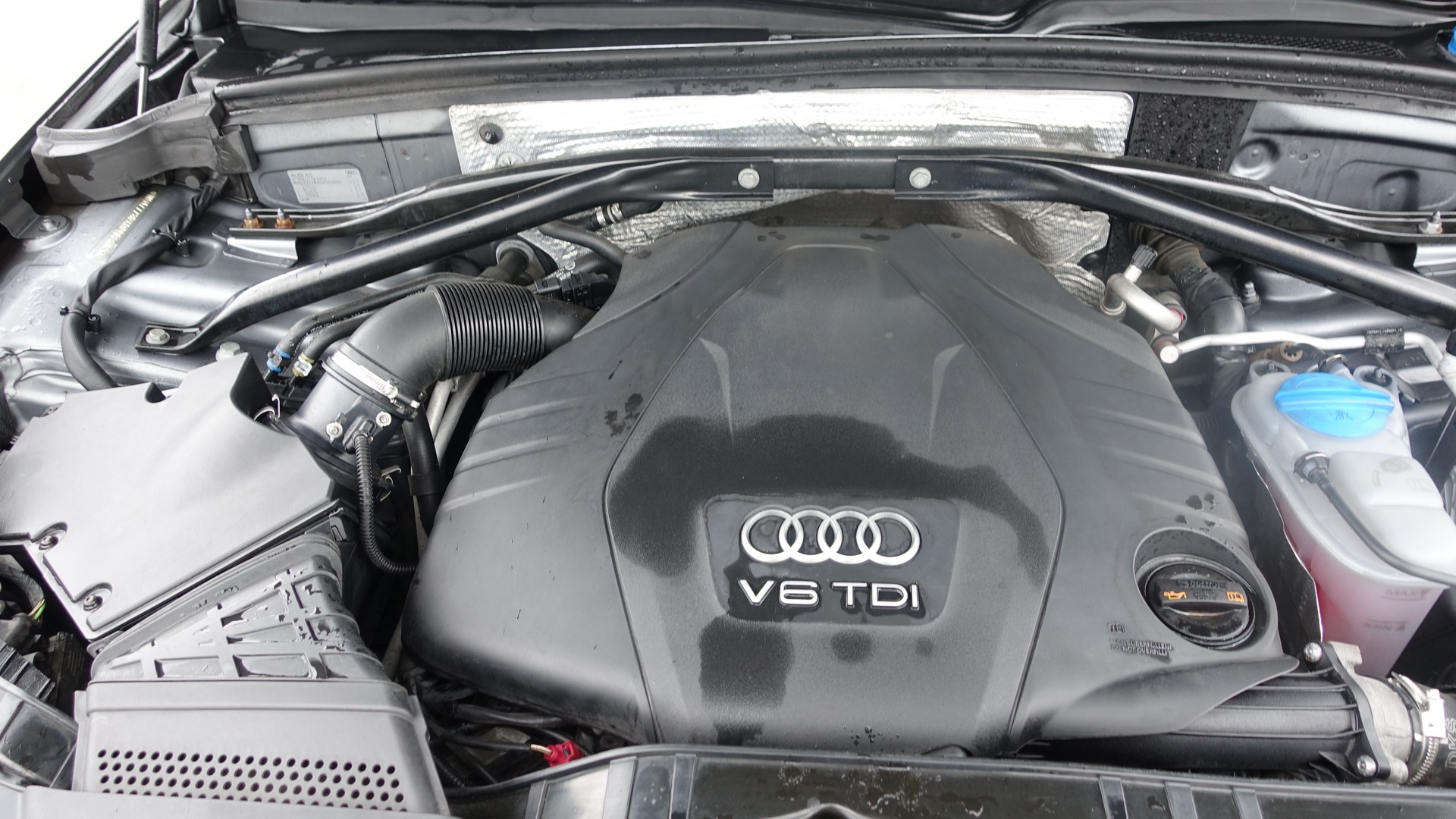 AUDI 3,0 TDI GUATTRO-image-13