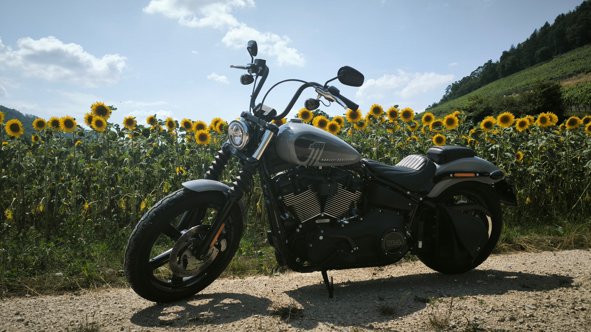 HARLEY-DAVIDSON FXBBS Street Bob 114-image-0