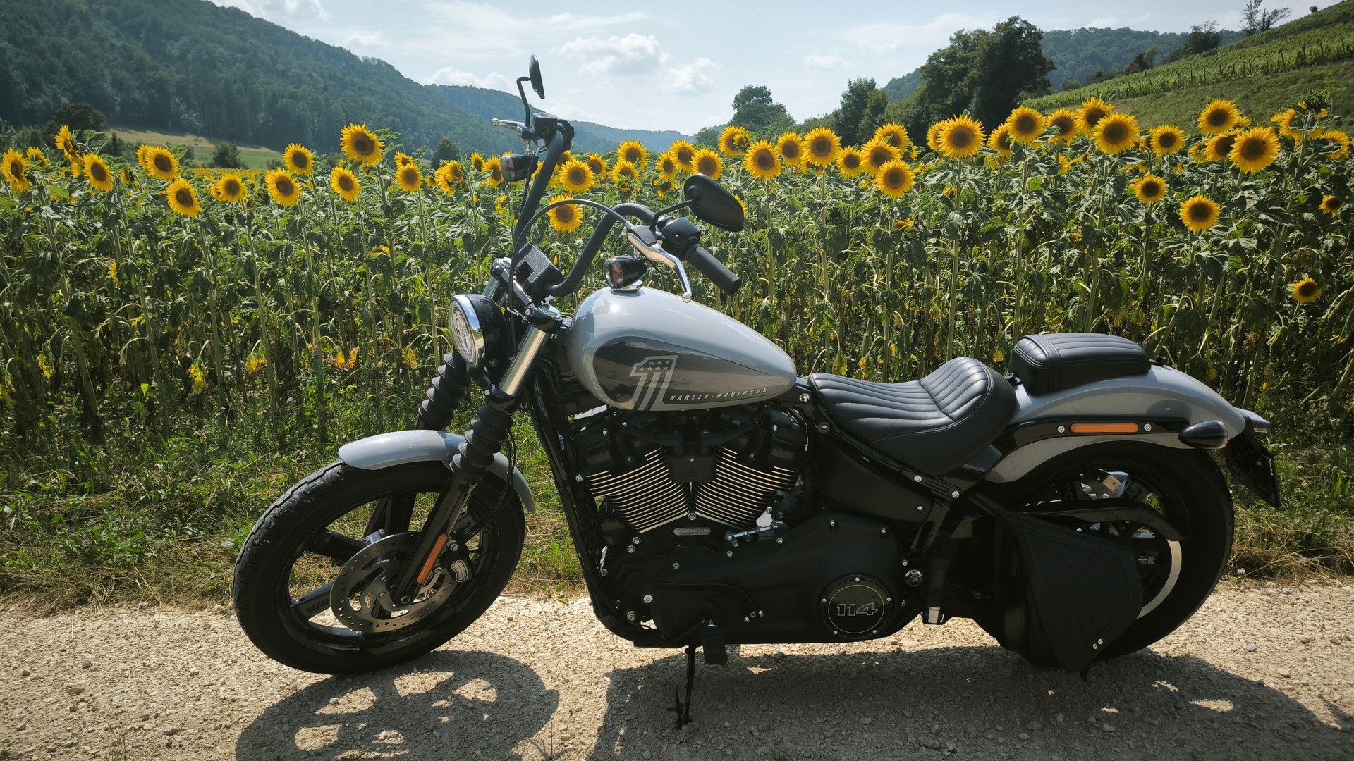 HARLEY-DAVIDSON FXBBS Street Bob 114-image-2