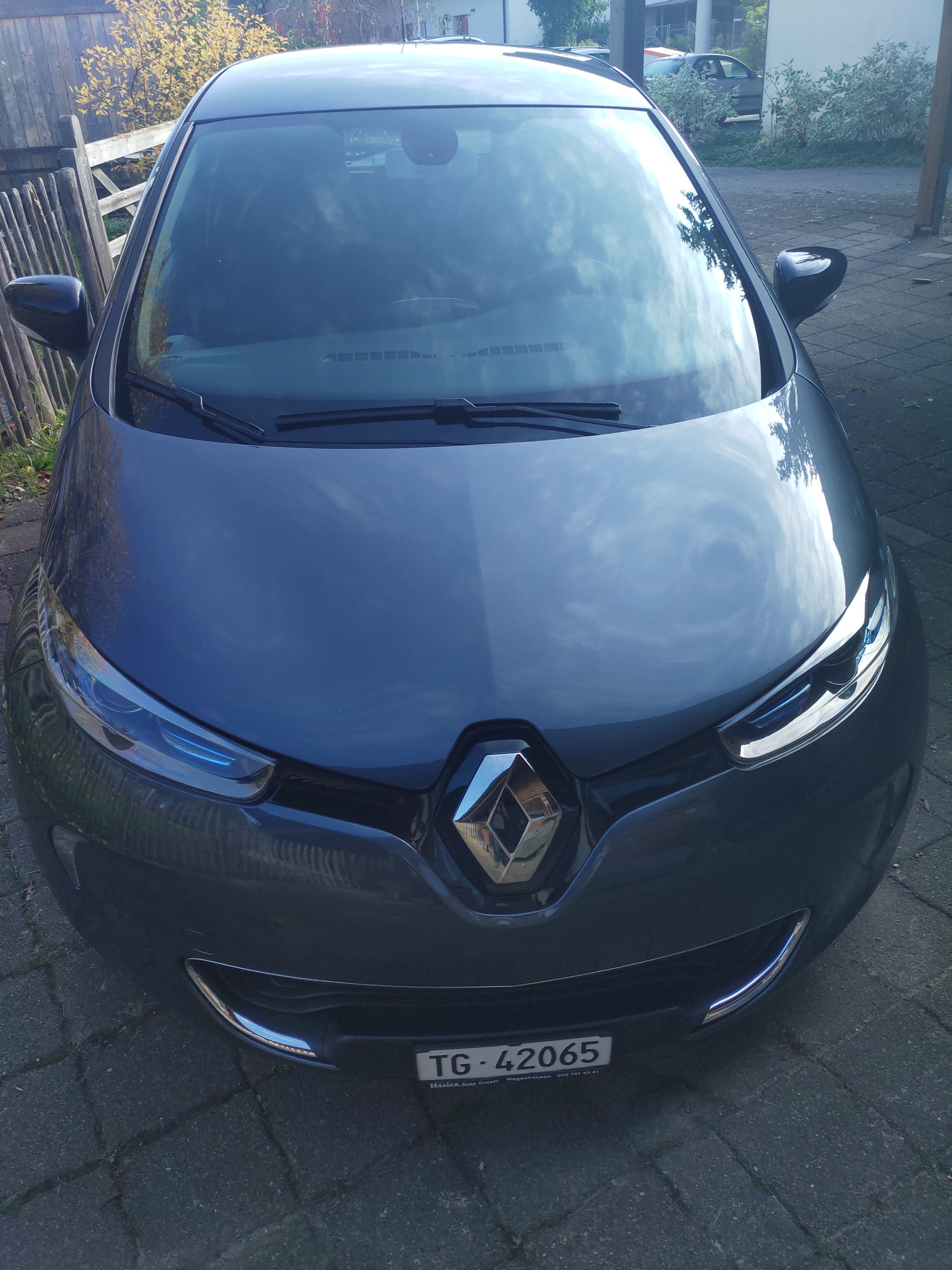 RENAULT R110 Limited - Batteriemiete