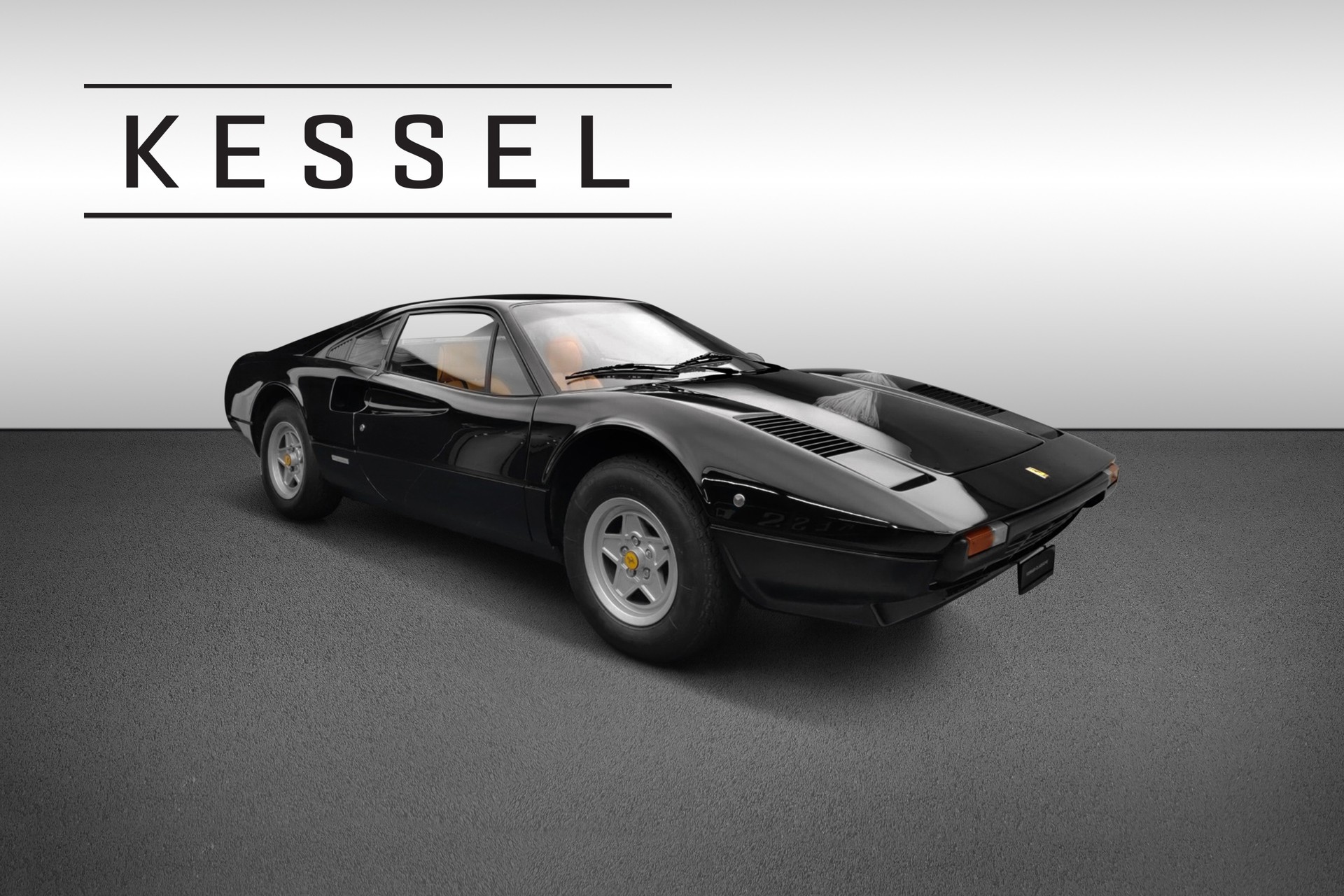 FERRARI Vetroresina