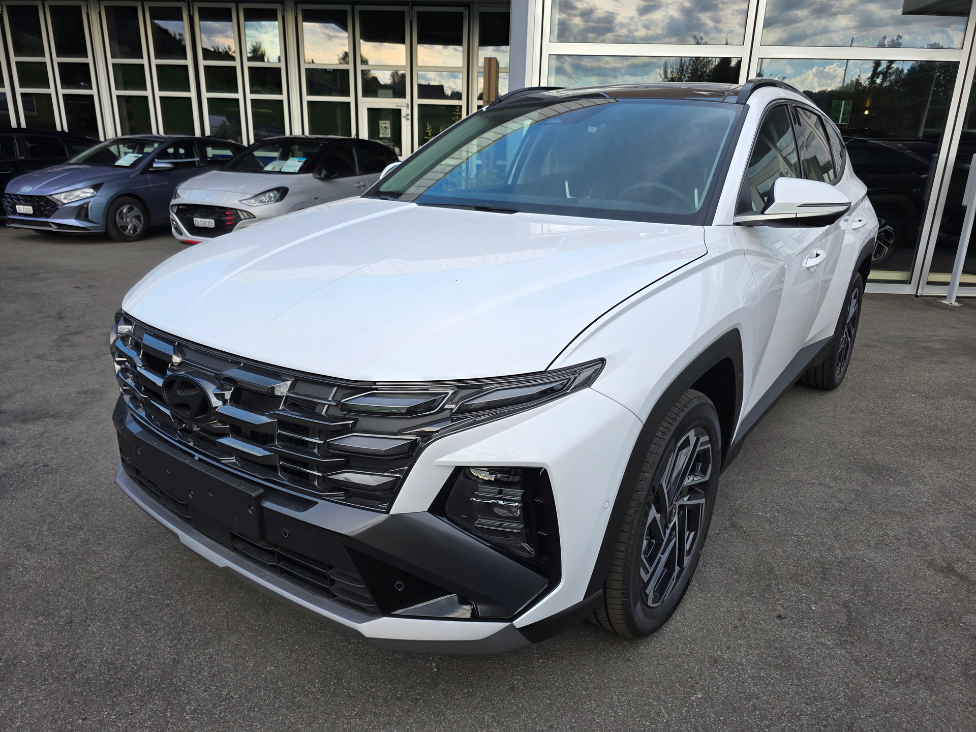 HYUNDAI Tucson 1.6 TGDI HEV Vertex Swiss Edition 4WD-showroom-element-2