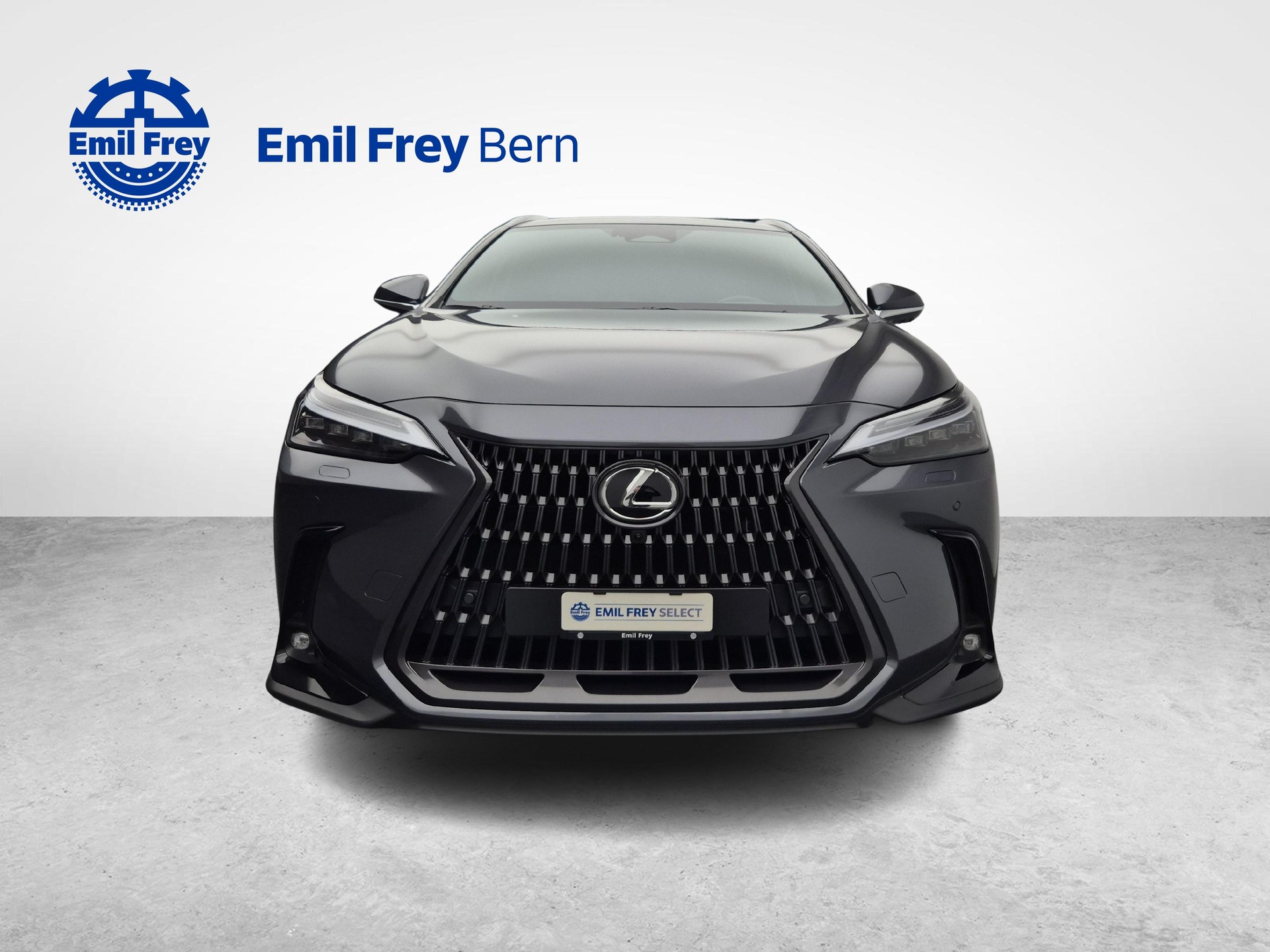 LEXUS NX 450h+ Excellence / Leasing ab. 0.99%-image-11
