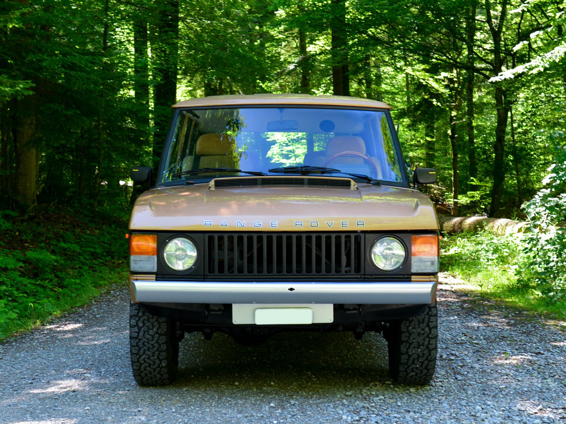 LAND ROVER Range Rover Classic 3.5 V8-image-3
