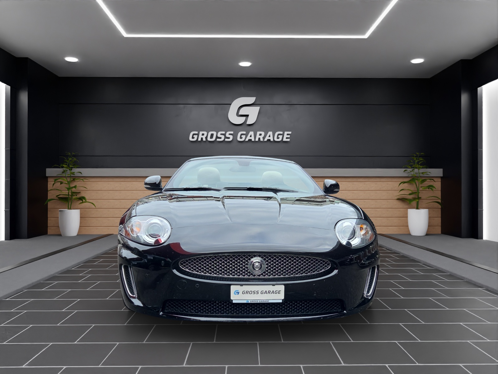 JAGUAR XK 5.0 V8 E50 Automatic-image-1