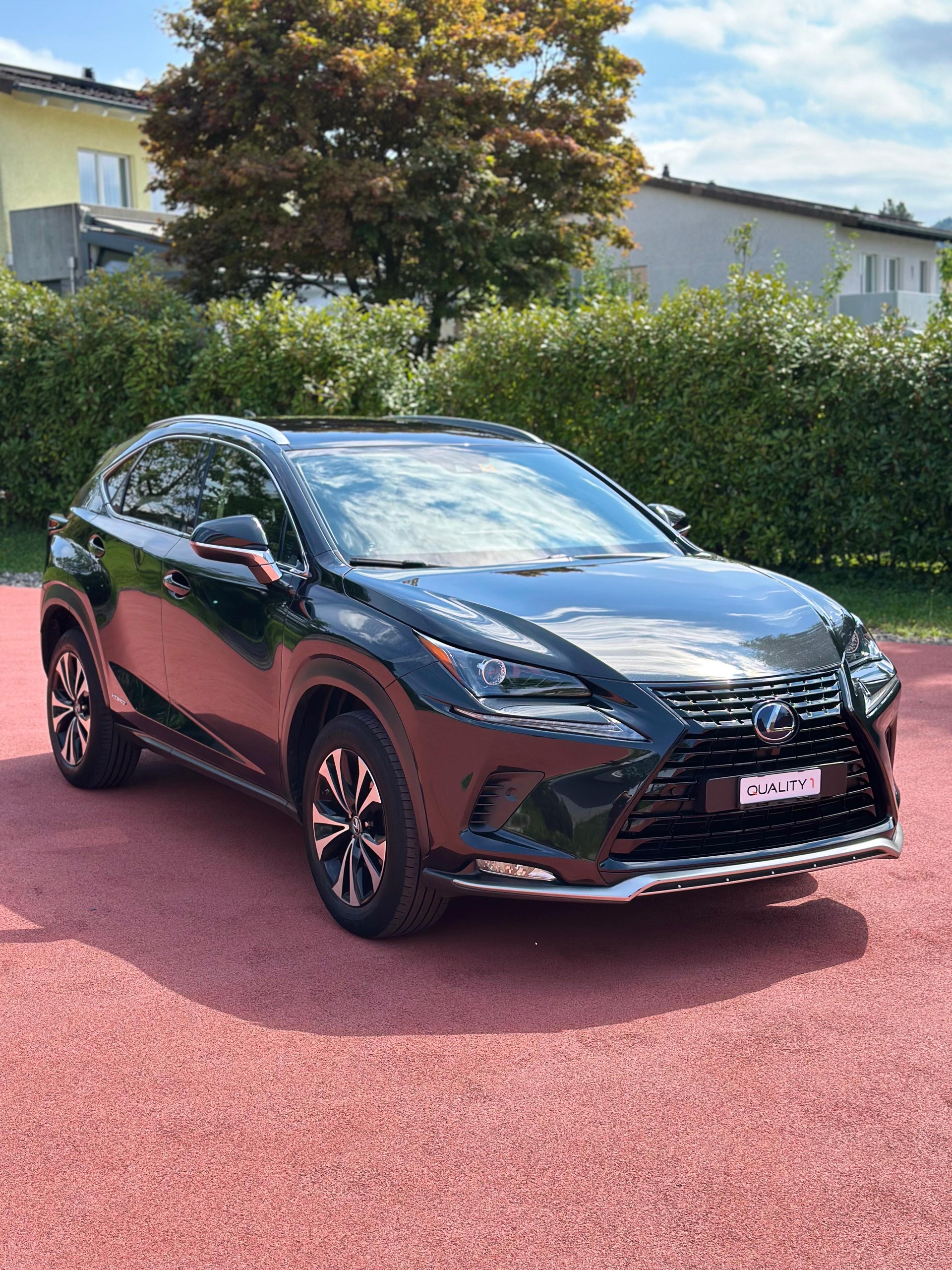 LEXUS NX 300h Celebrating 30 E-Four Automatic-image-2